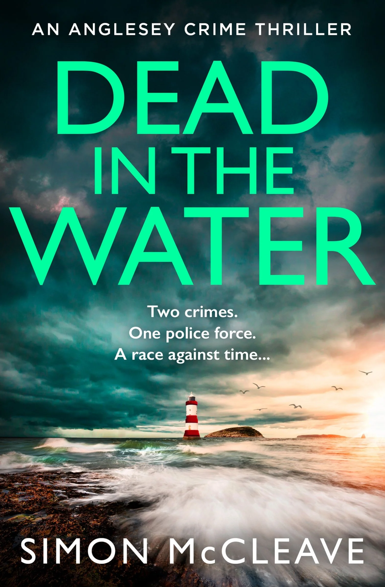 Dead in the Water (The Anglesey Series, Book 5) - Image 3