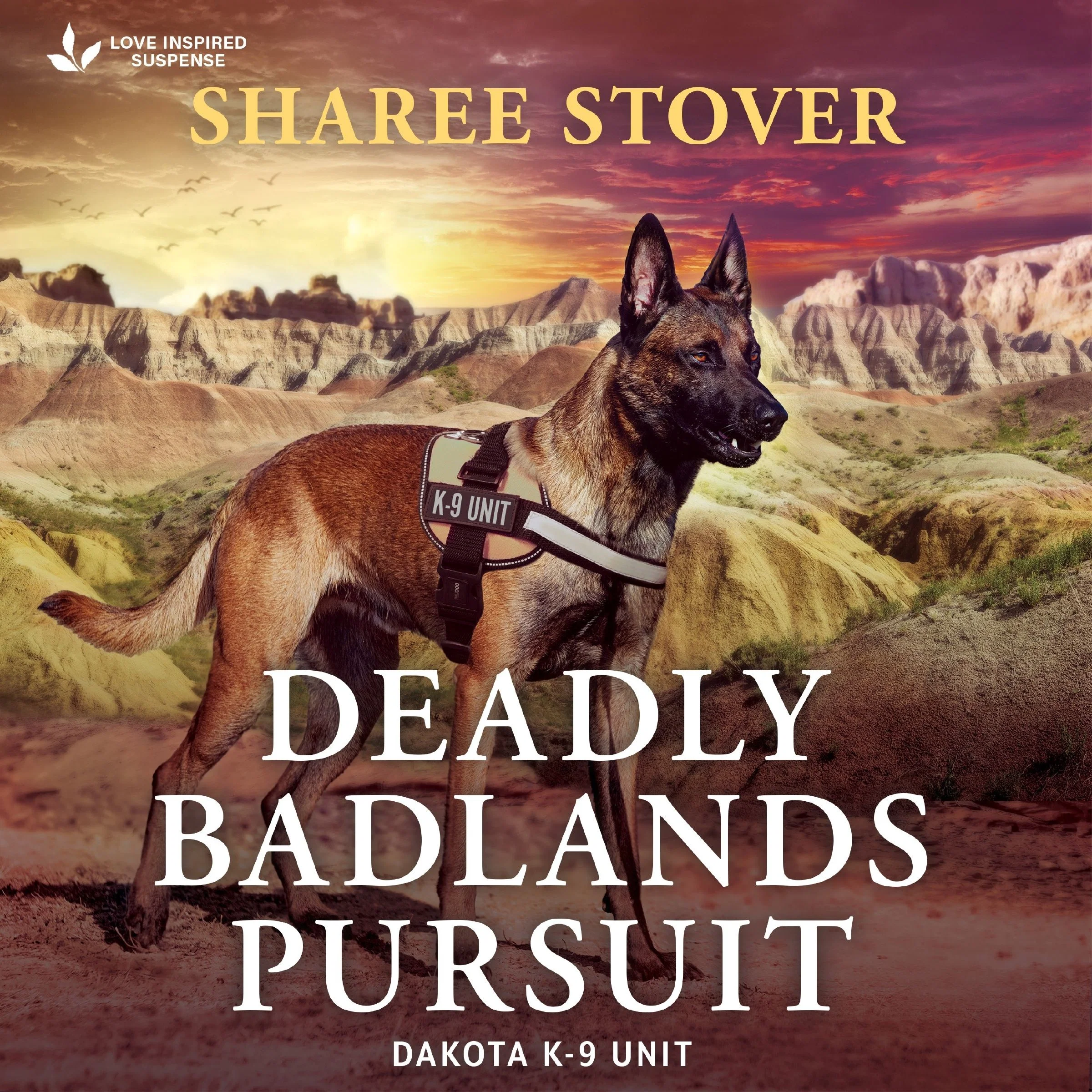 Deadly Badlands Pursuit - Image 2