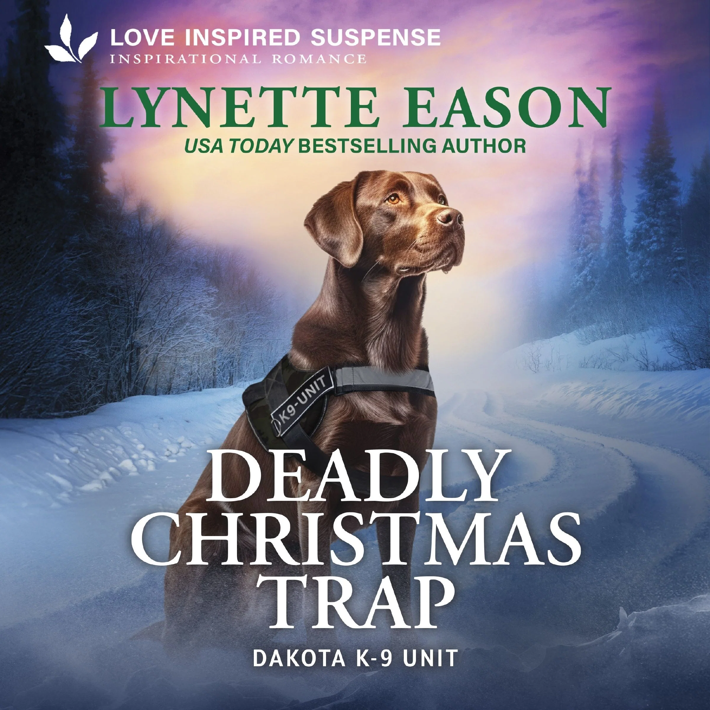 Deadly Christmas Trap - Image 2