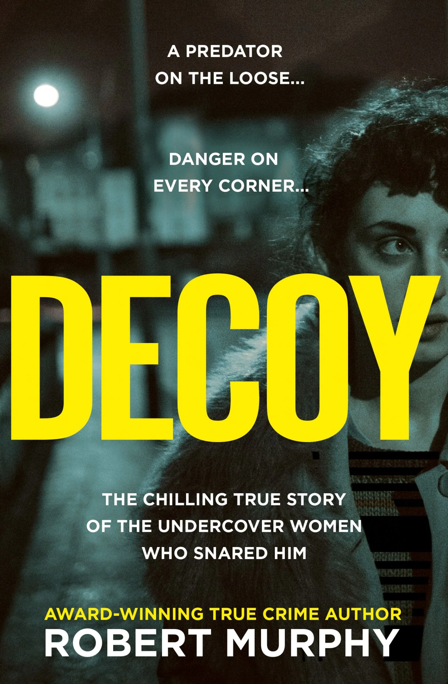 Decoy - Image 3