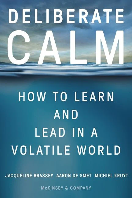 Deliberate Calm - Image 2