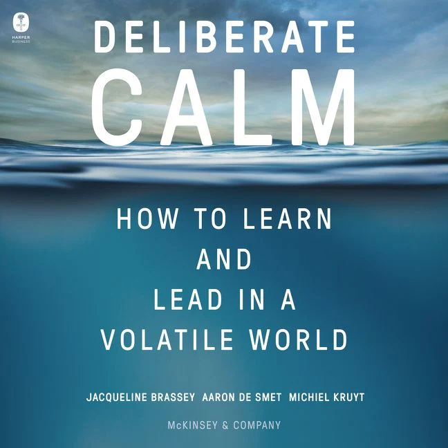 Deliberate Calm - Image 4