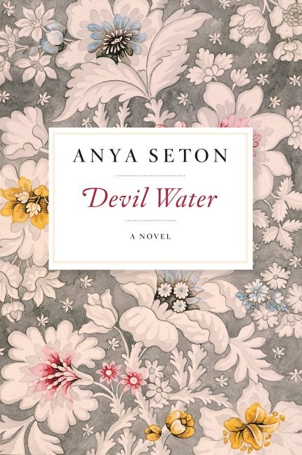 Devil Water - Image 3