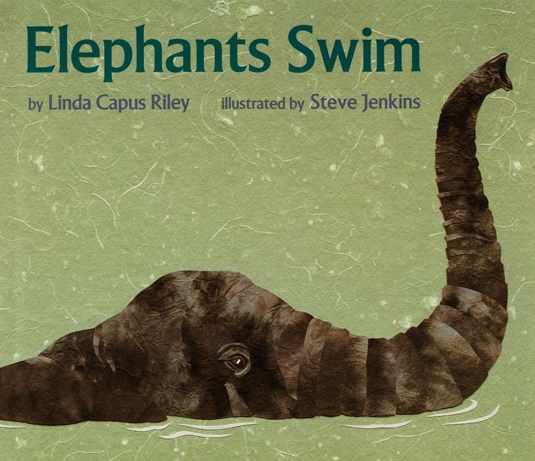 Elephants Swim - Image 3