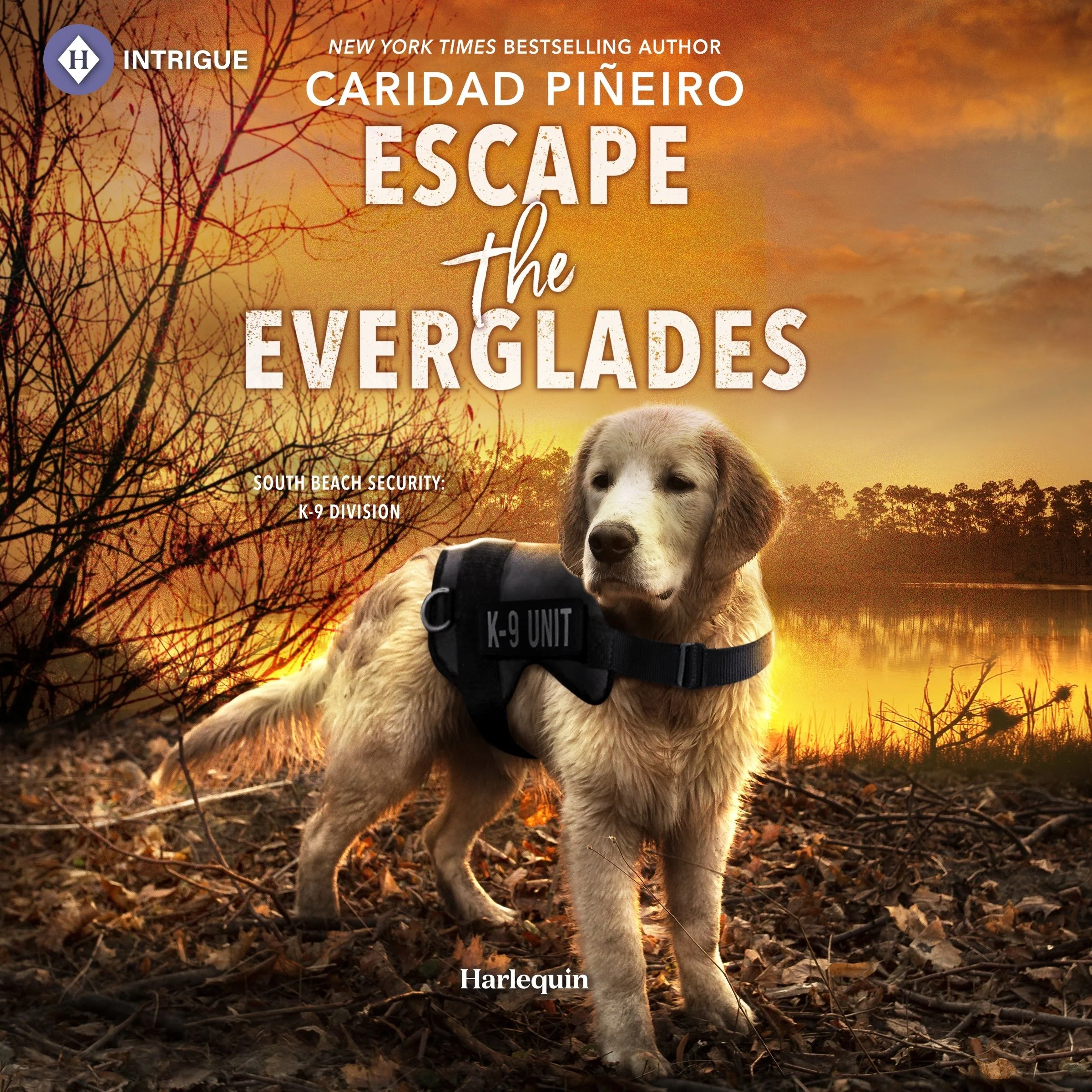 Escape the Everglades - Image 2