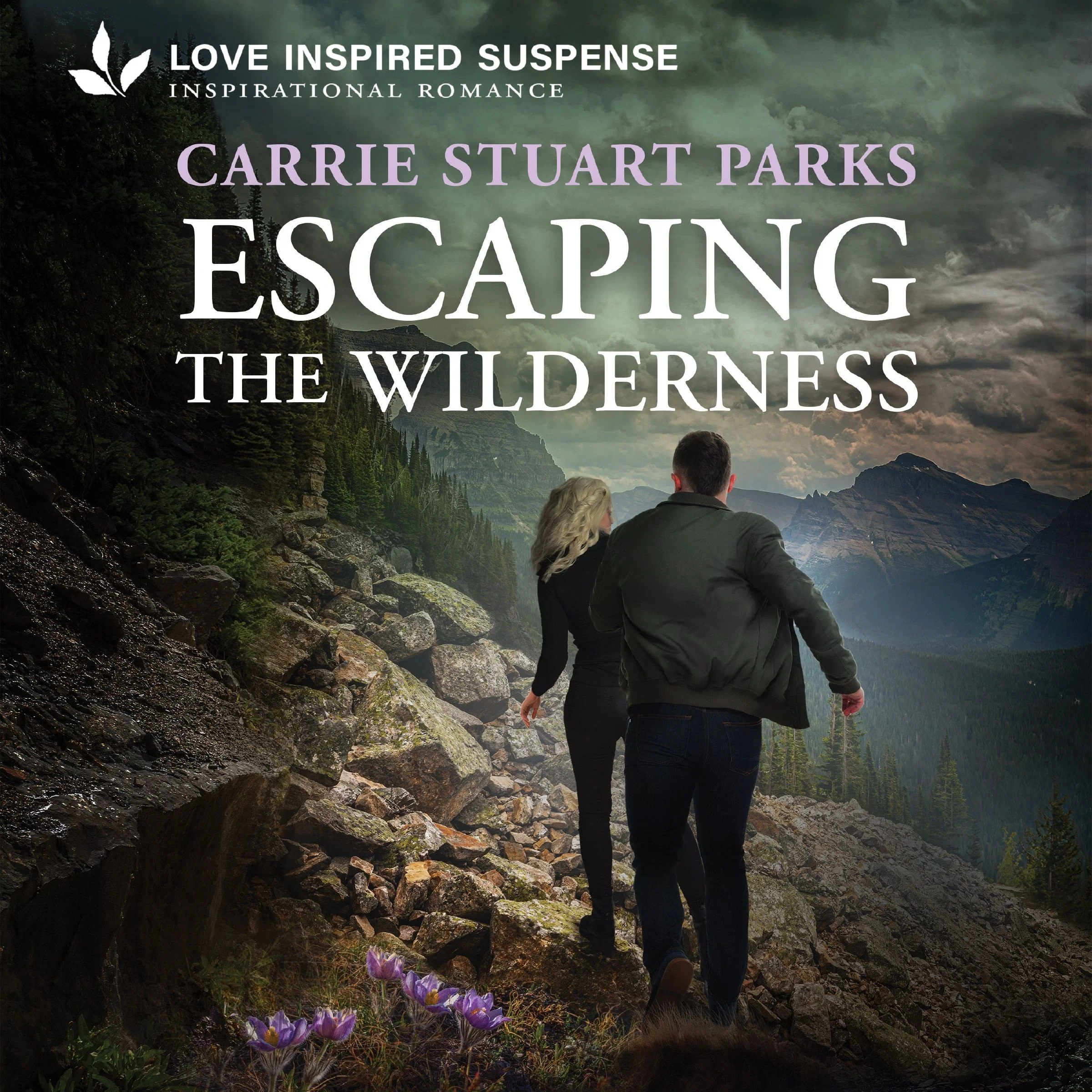 Escaping the Wilderness - Image 2