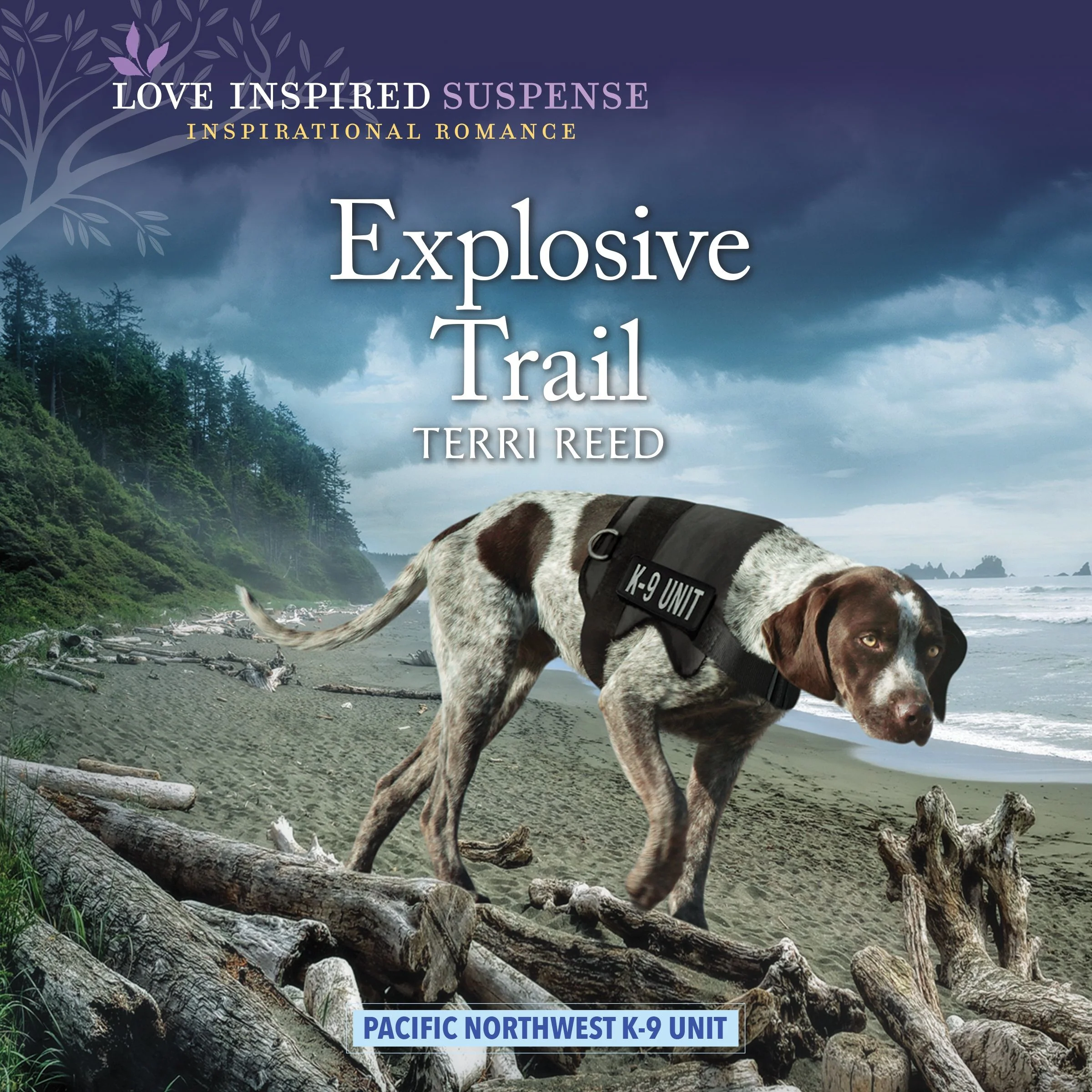 Explosive Trail - Image 2