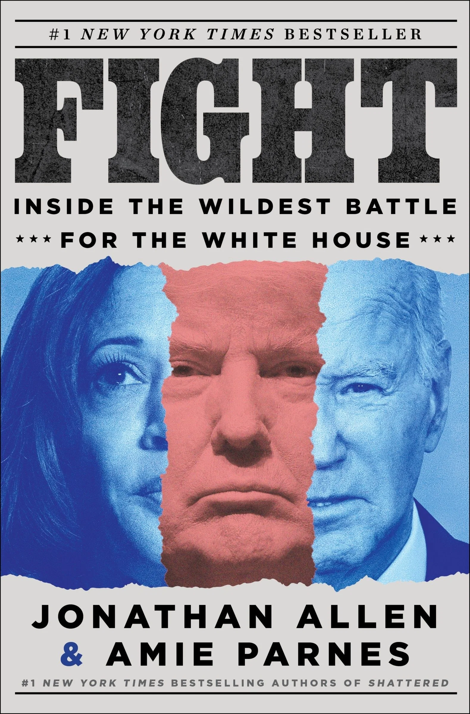 Fight - Image 2