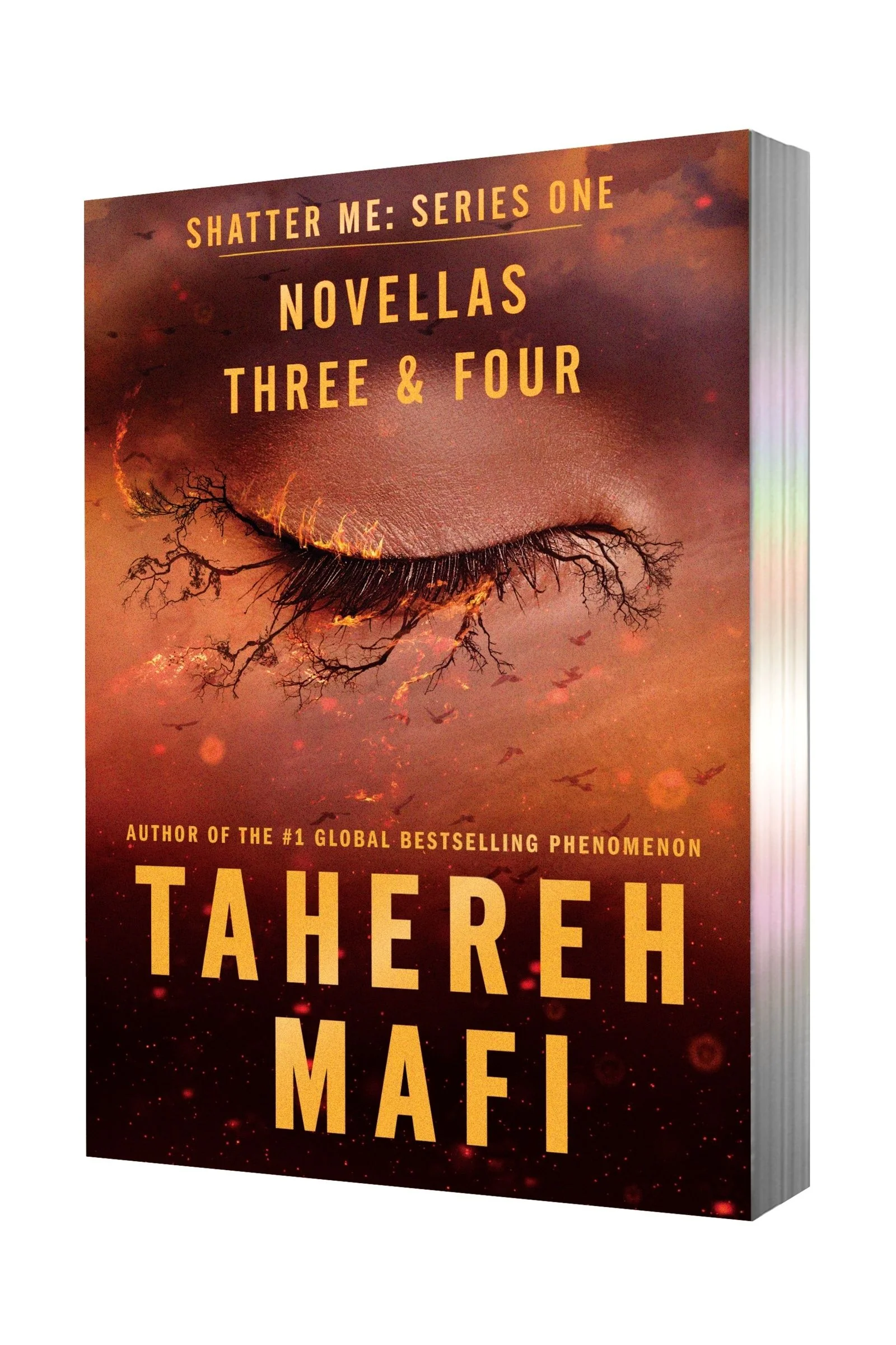 Find Me Paperback Deluxe Limited Edition - Image 2