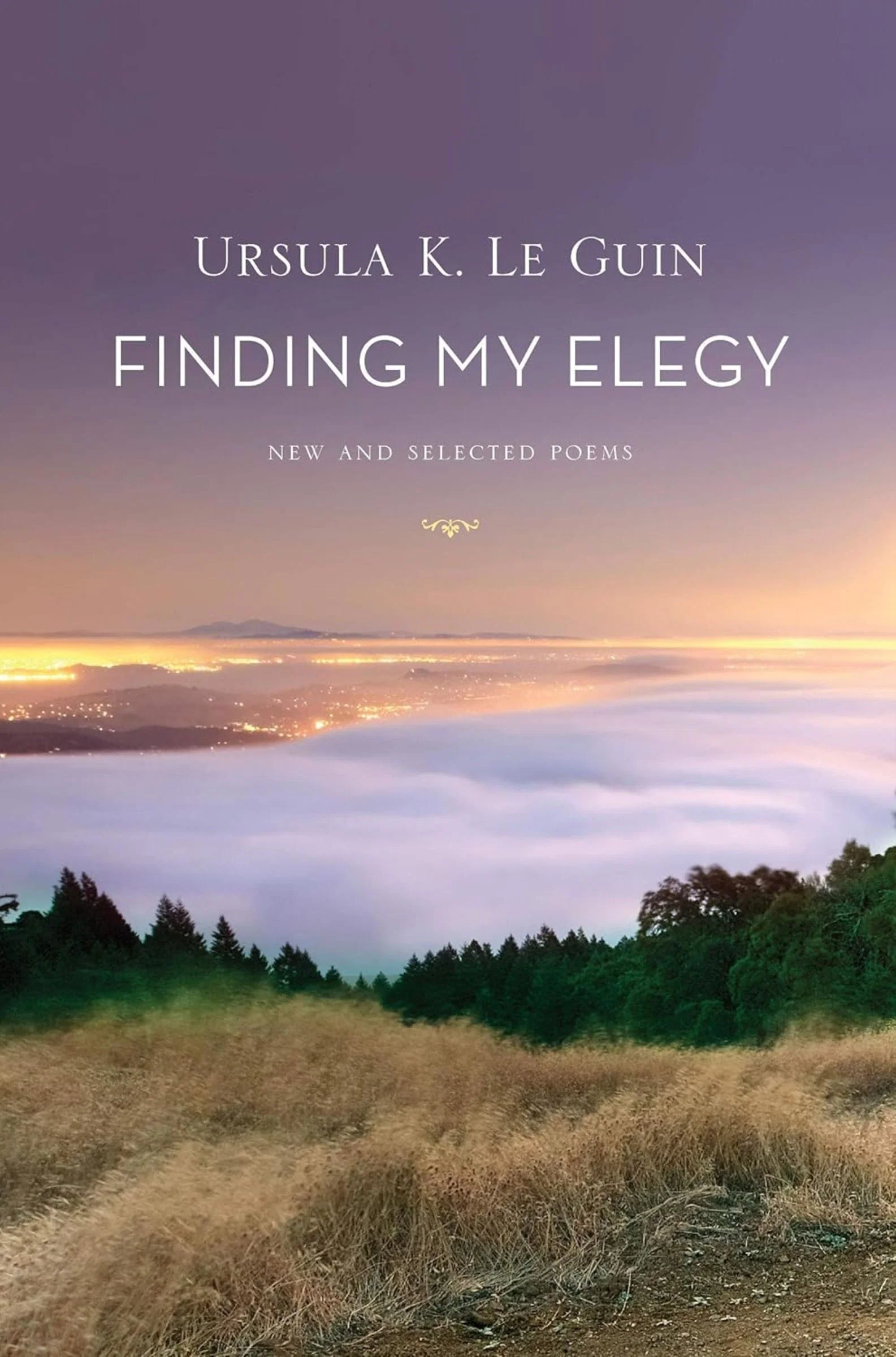 Finding My Elegy - Image 2