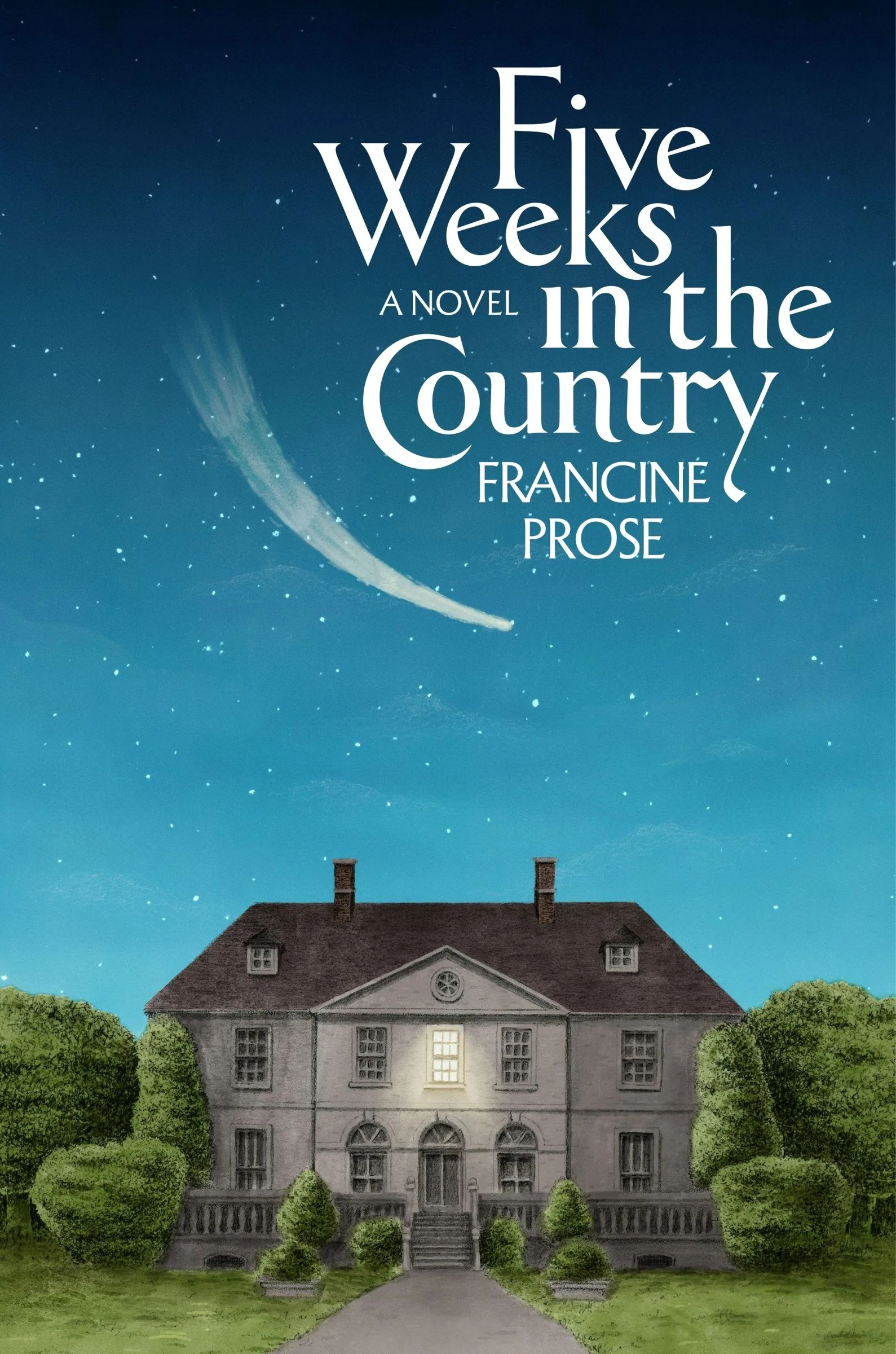 Five Weeks in the Country - Image 3