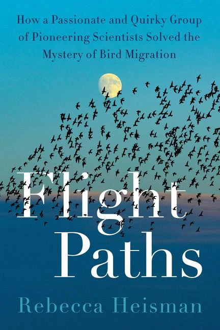 Flight Paths - Image 2
