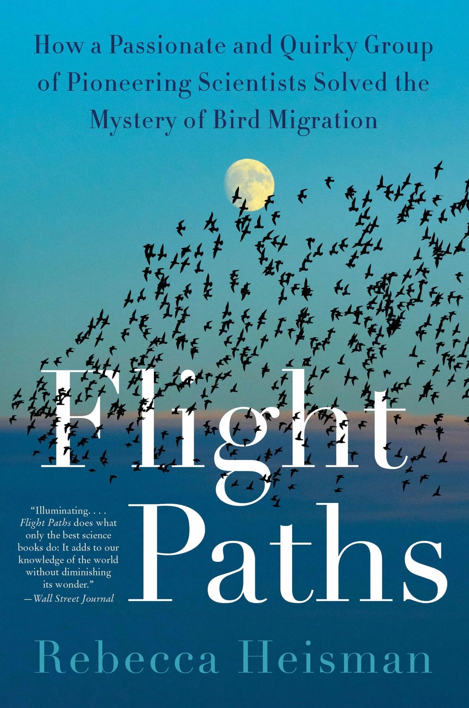 Flight Paths - Image 4