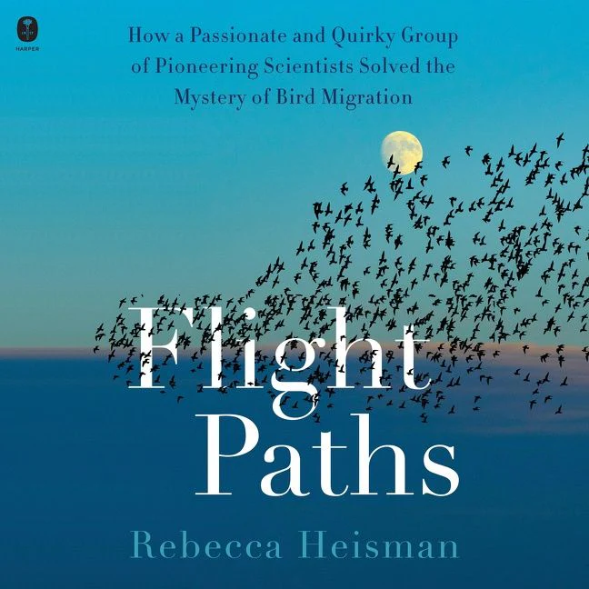 Flight Paths - Image 5