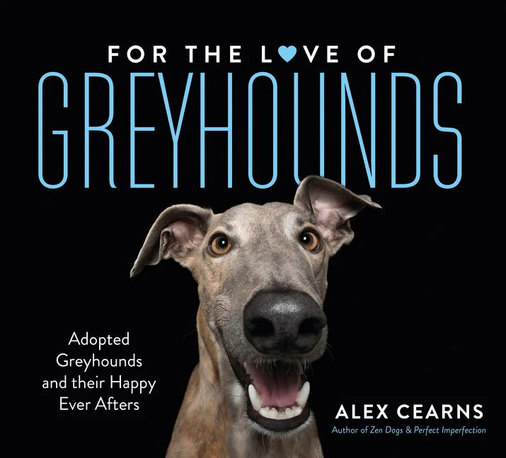 For The Love Of Greyhounds: Adopted Greyhounds and their Happy Ever Afters - Image 2