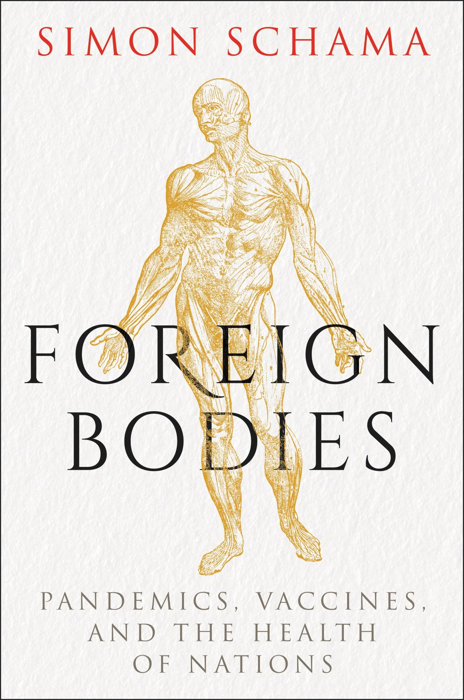 Foreign Bodies - Image 4