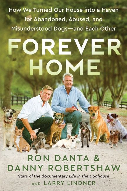 Forever Home - Image 4