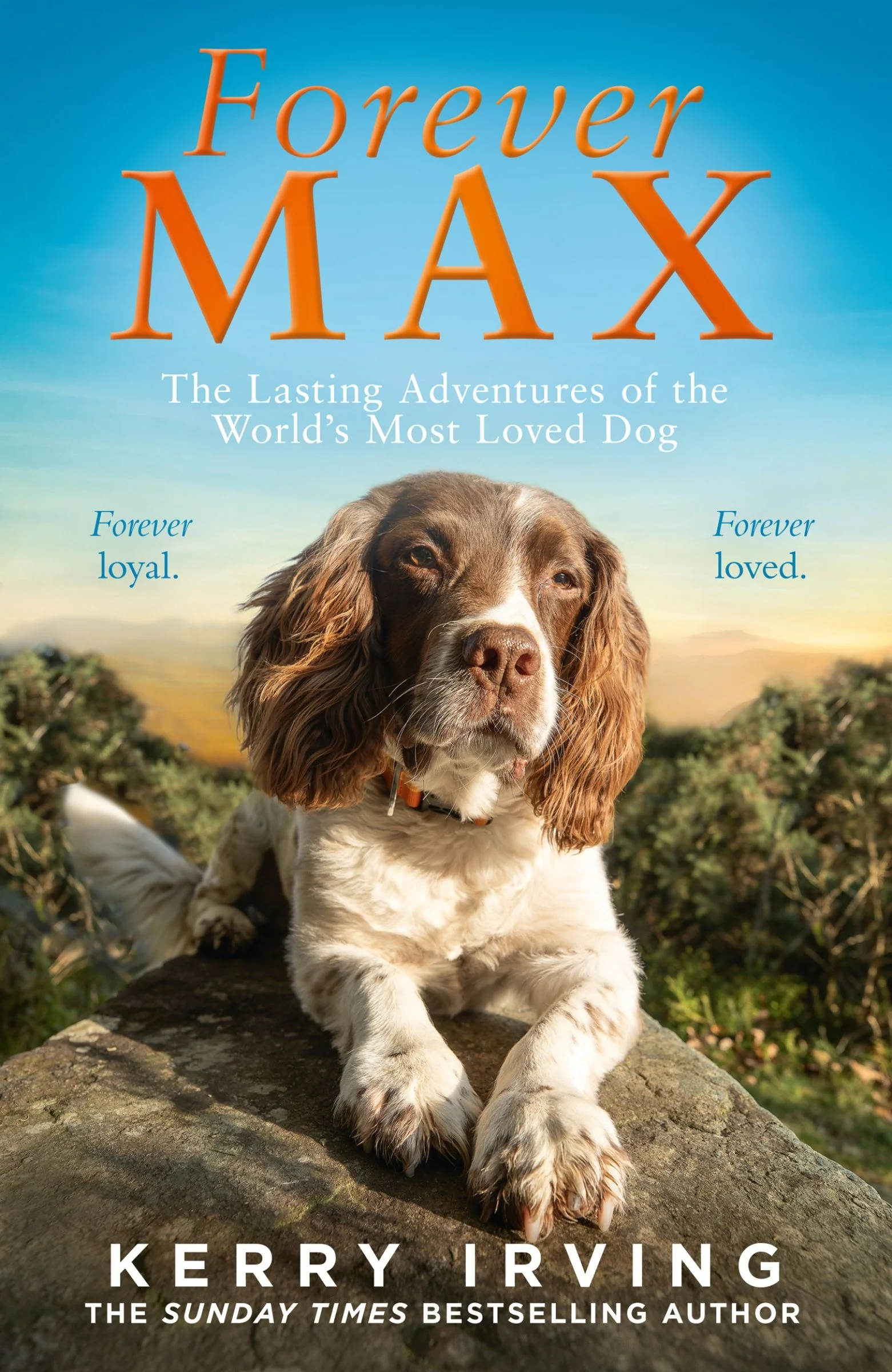 Forever Max - Image 2