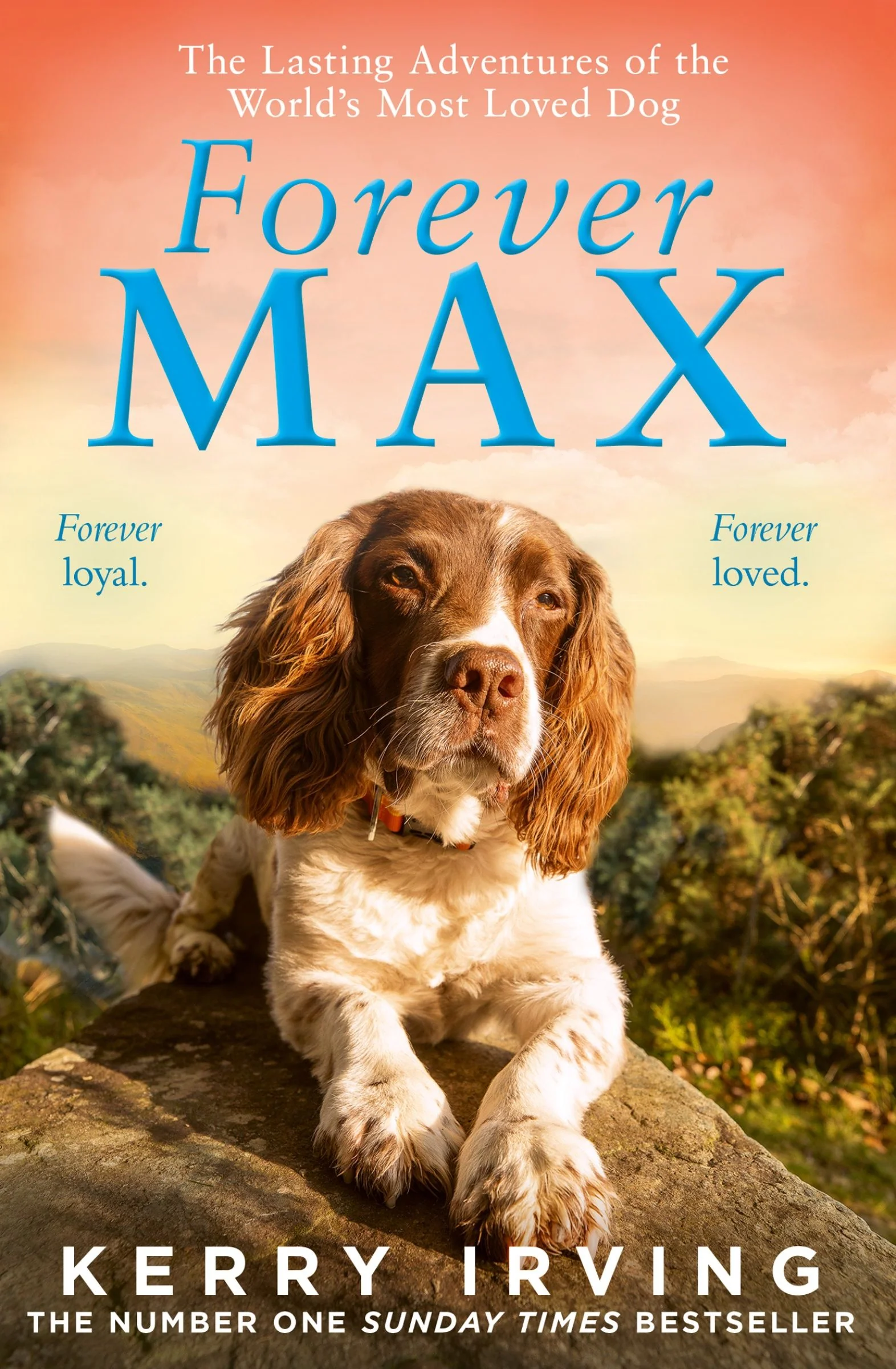 Forever Max: The lasting adventures of the world's most loved dog - Image 4