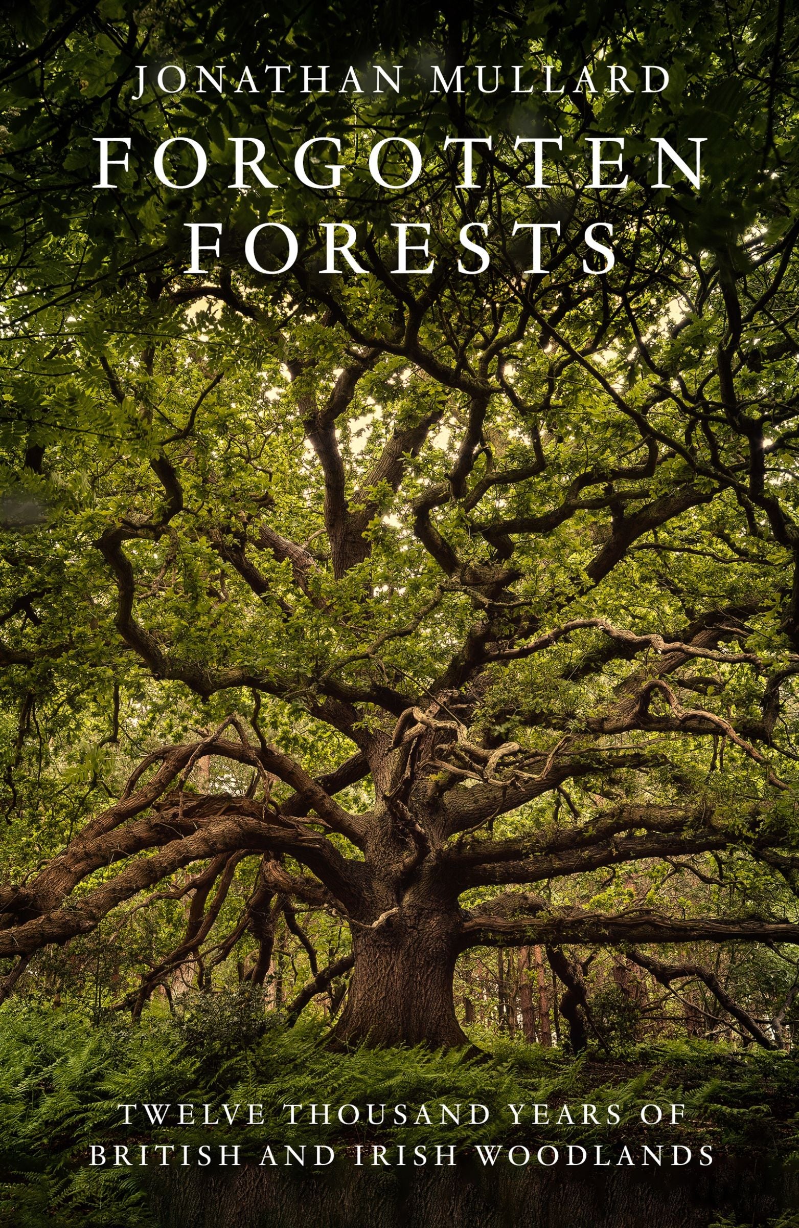Forgotten Forests: Twelve Thousand Years of British and Irish Woodlands - Image 2