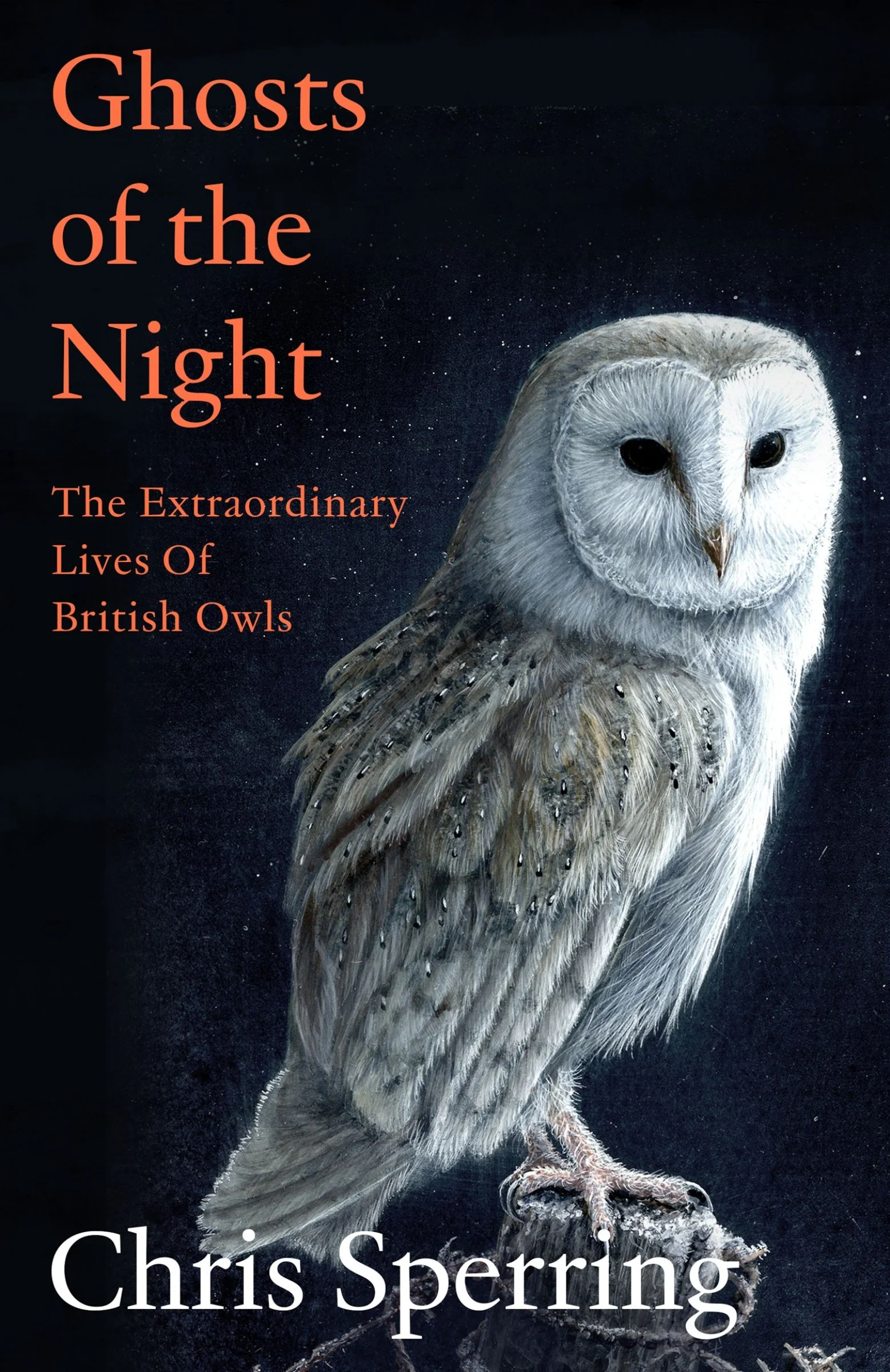 Ghosts of the Night: The Extraordinary Lives of British Owls - Image 2