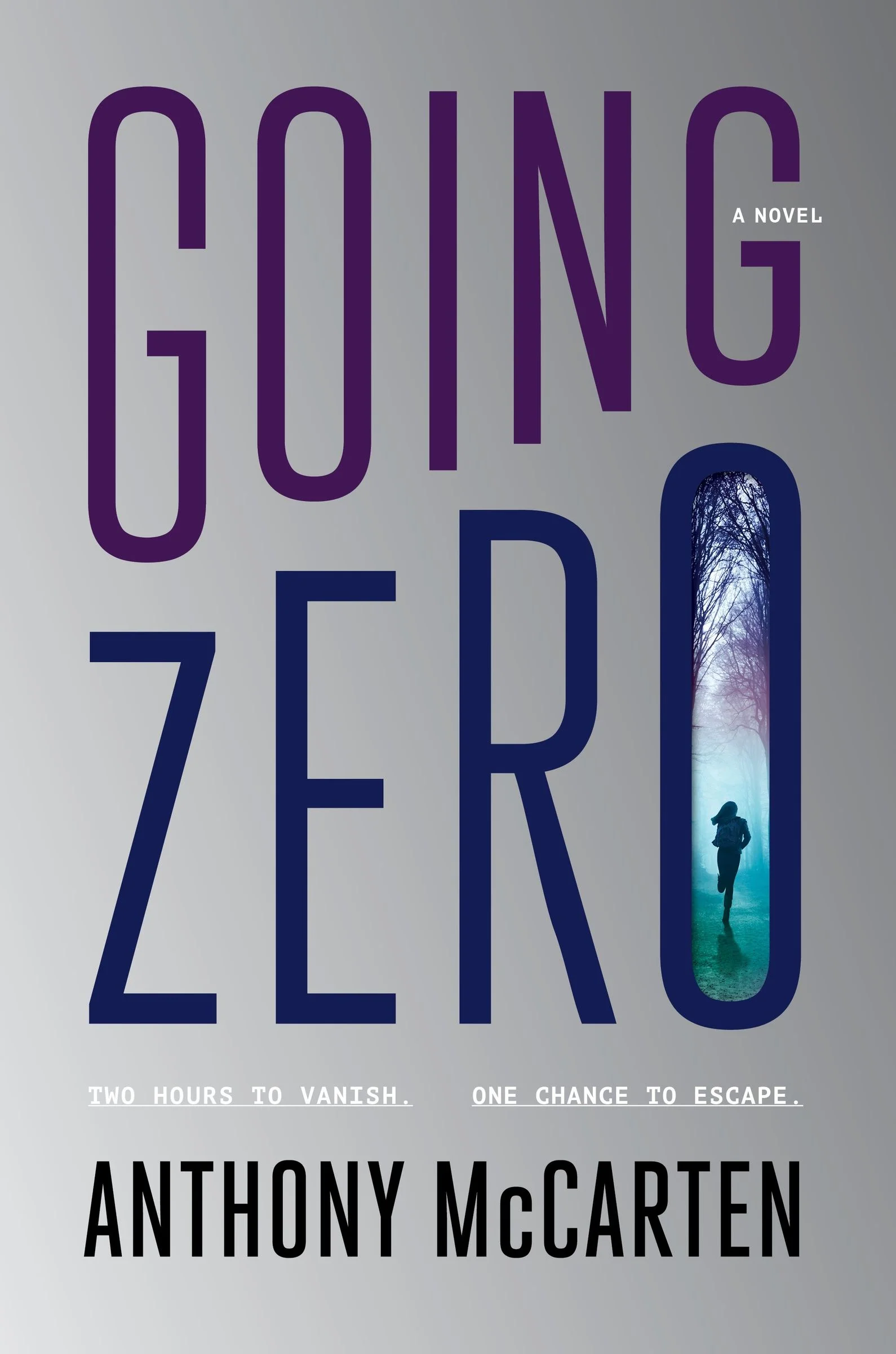 Going Zero - Image 2