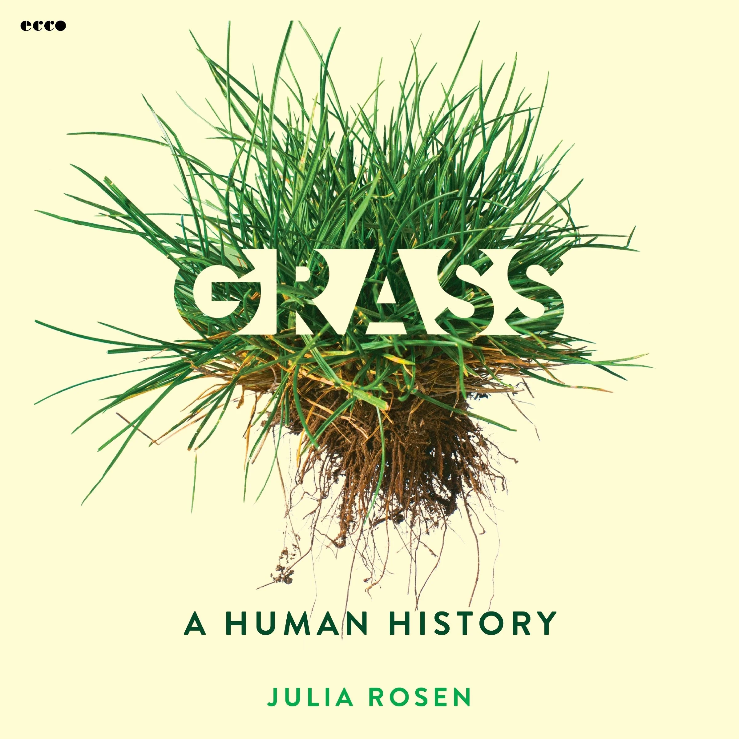 Grass - Image 2