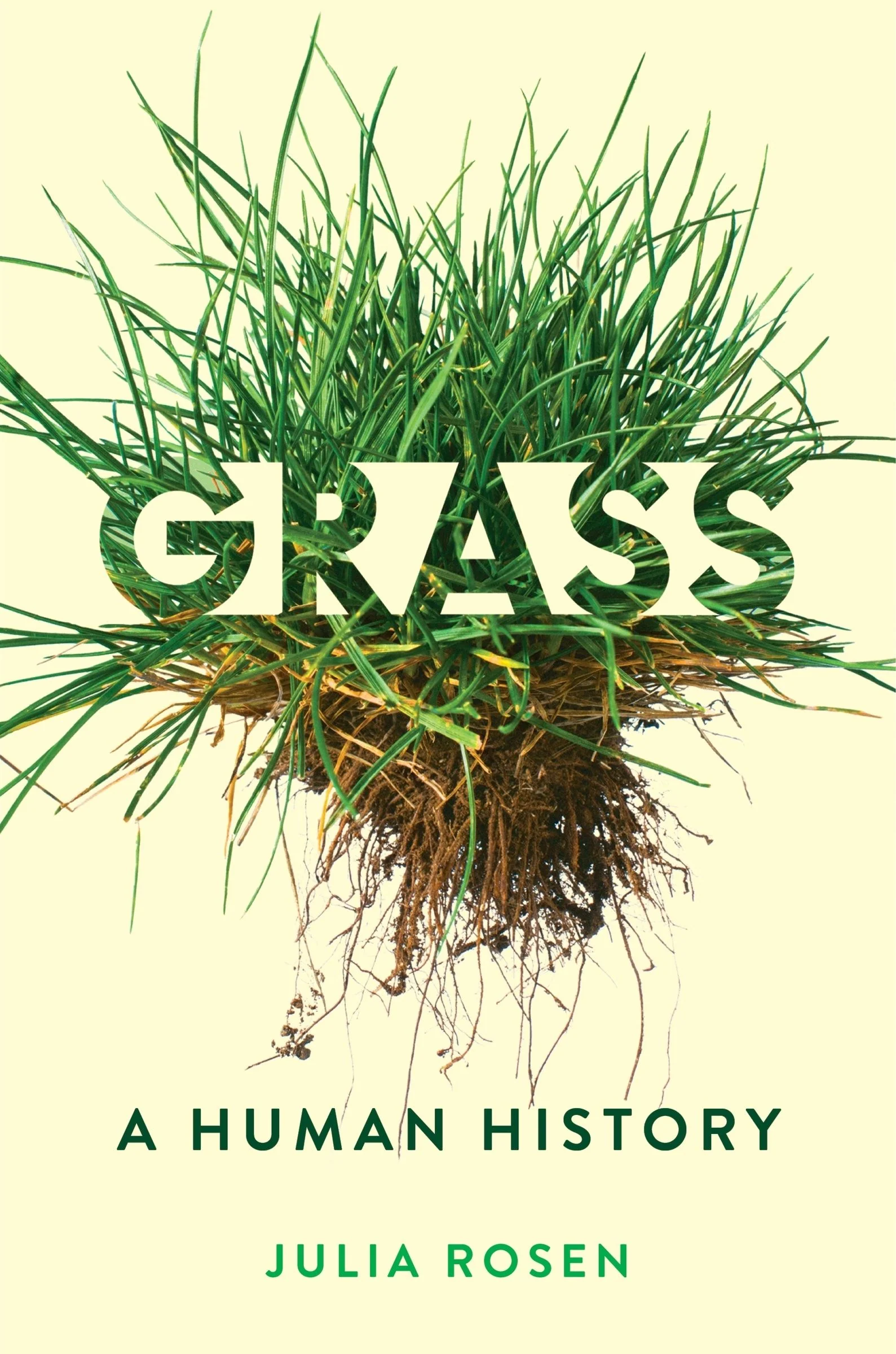 Grass - Image 4