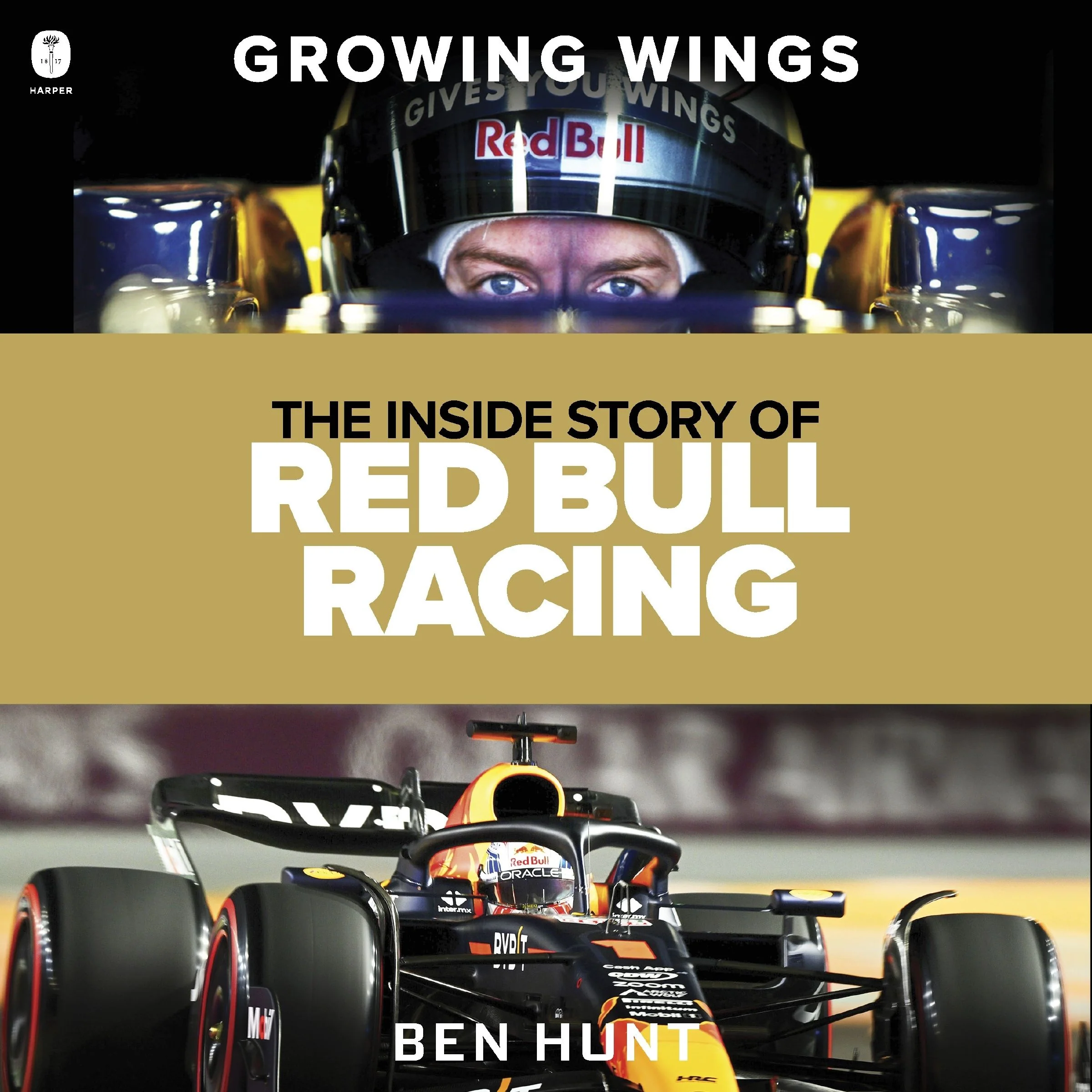 Growing Wings - Image 4
