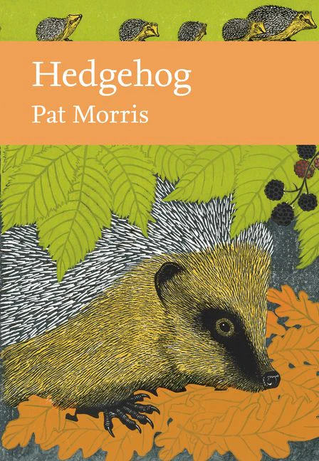 Hedgehog - Image 3