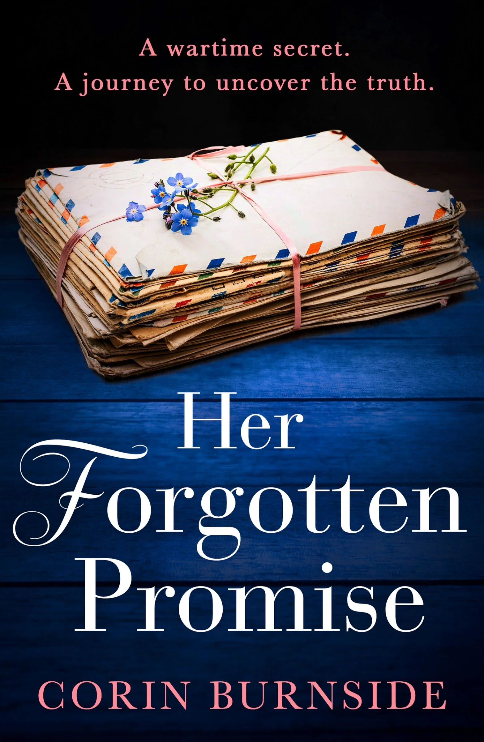 Her Forgotten Promise - Image 2