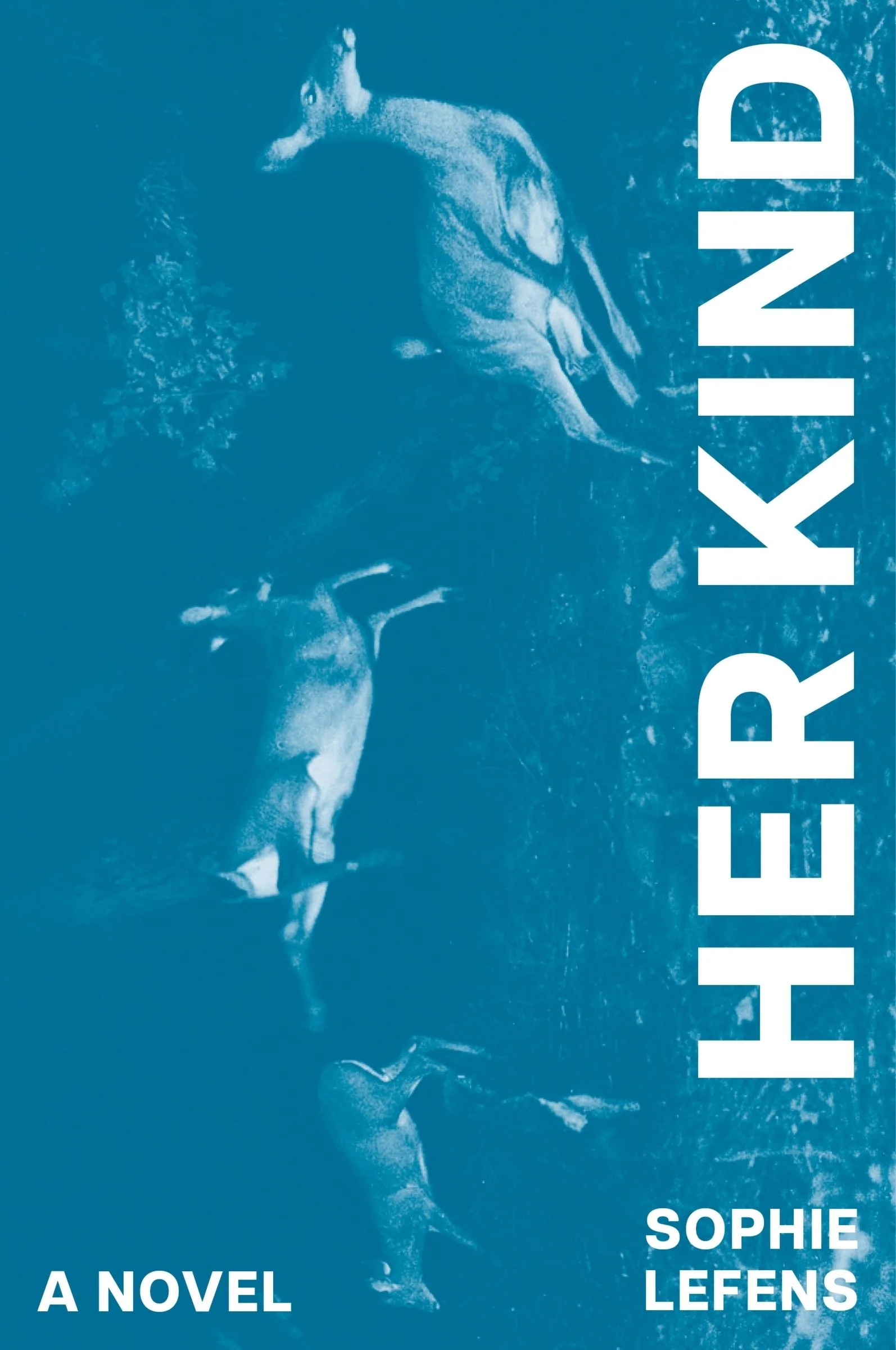 Her Kind - Image 2