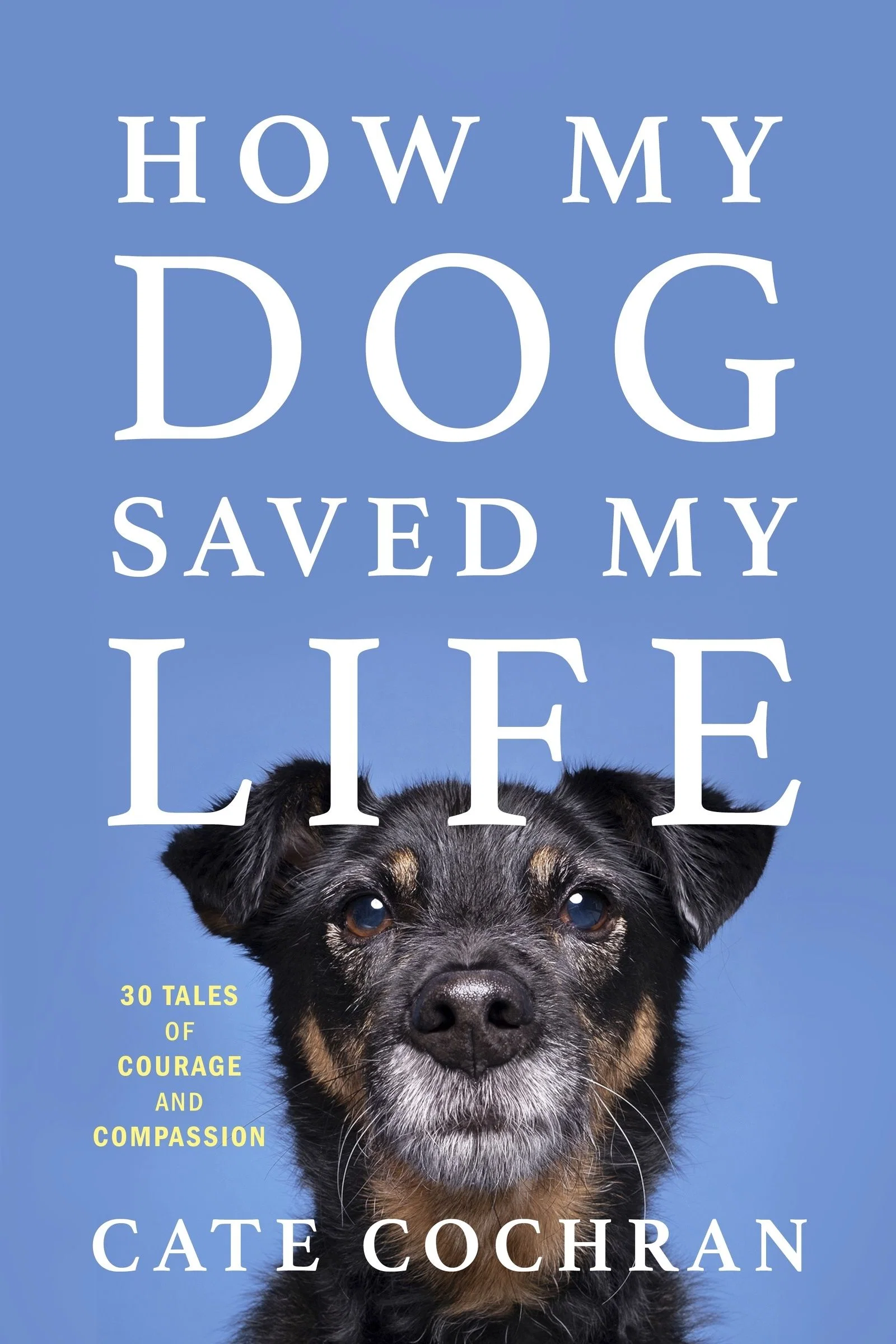 How My Dog Saved My Life - Image 2
