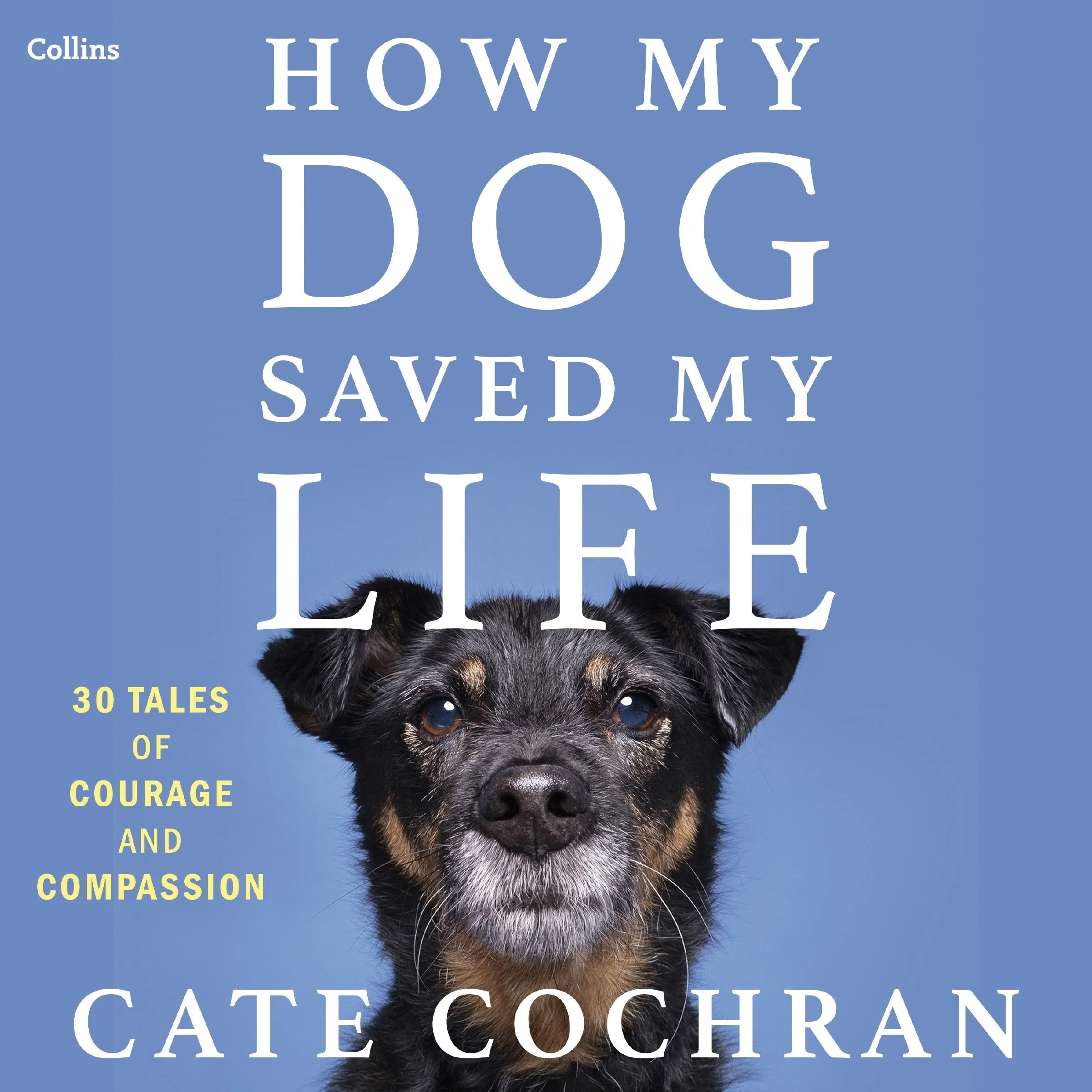 How My Dog Saved My Life - Image 4