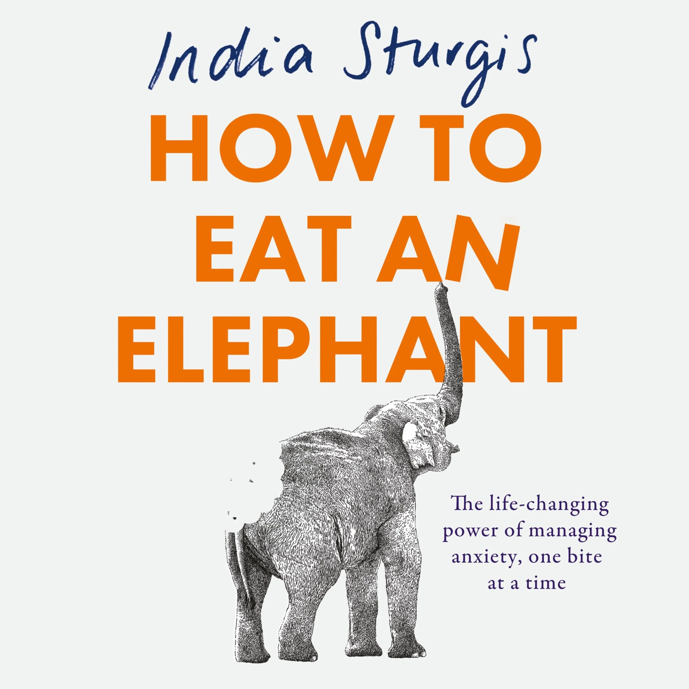 How to Eat an Elephant: The life-changing power of managing anxiety, one bite at a time - Image 4