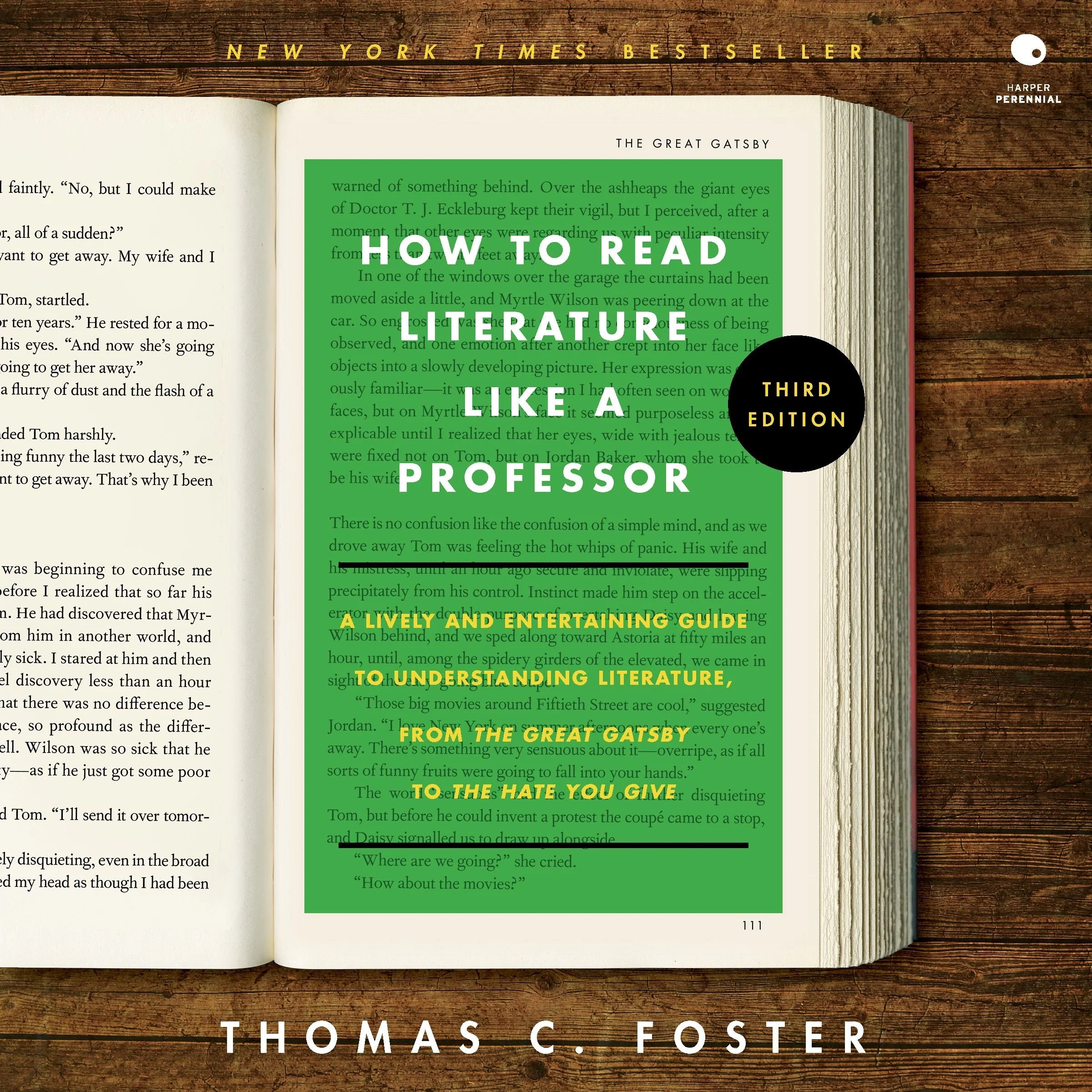 How to Read Literature Like a Professor [Third Edition] - Image 3