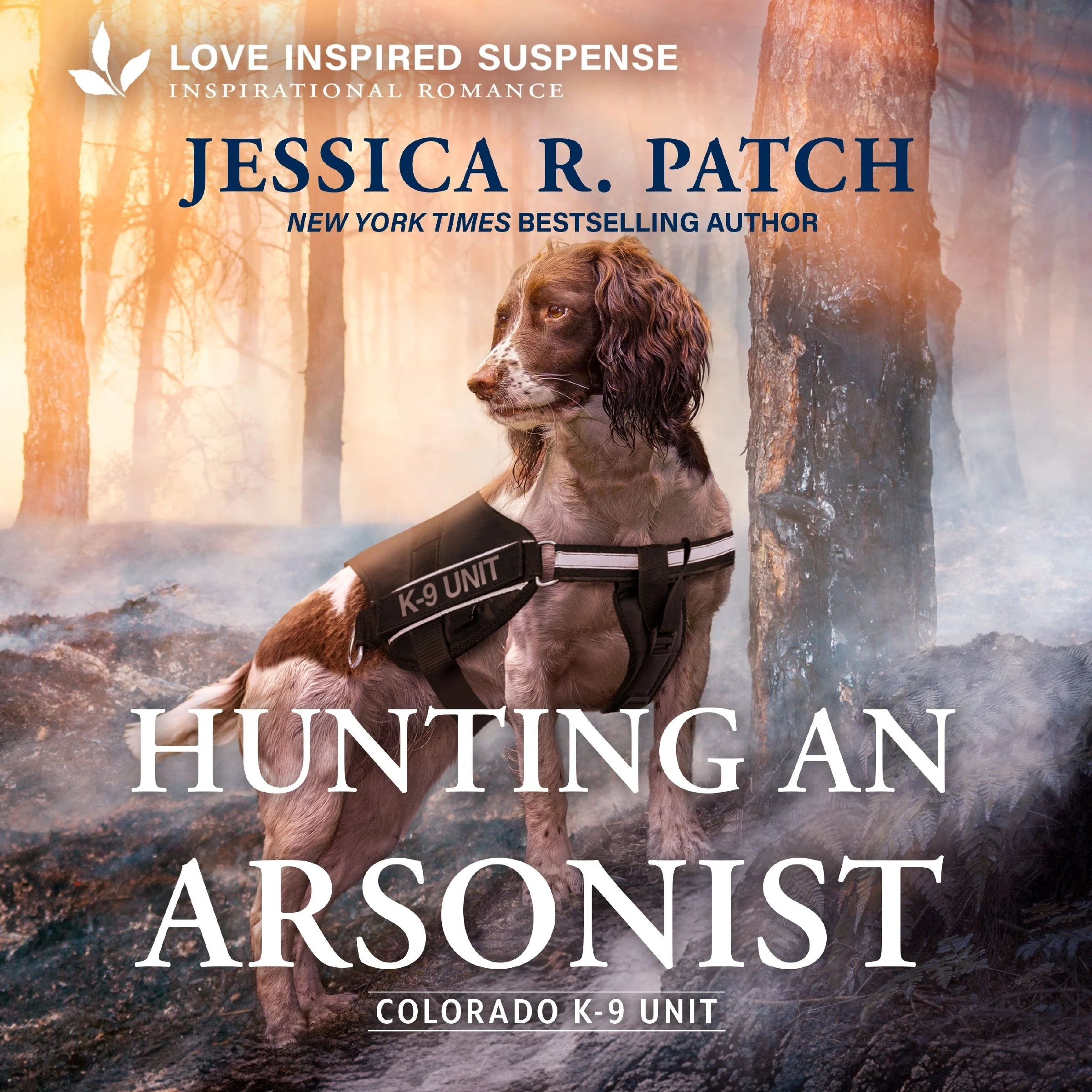 Hunting an Arsonist - Image 2