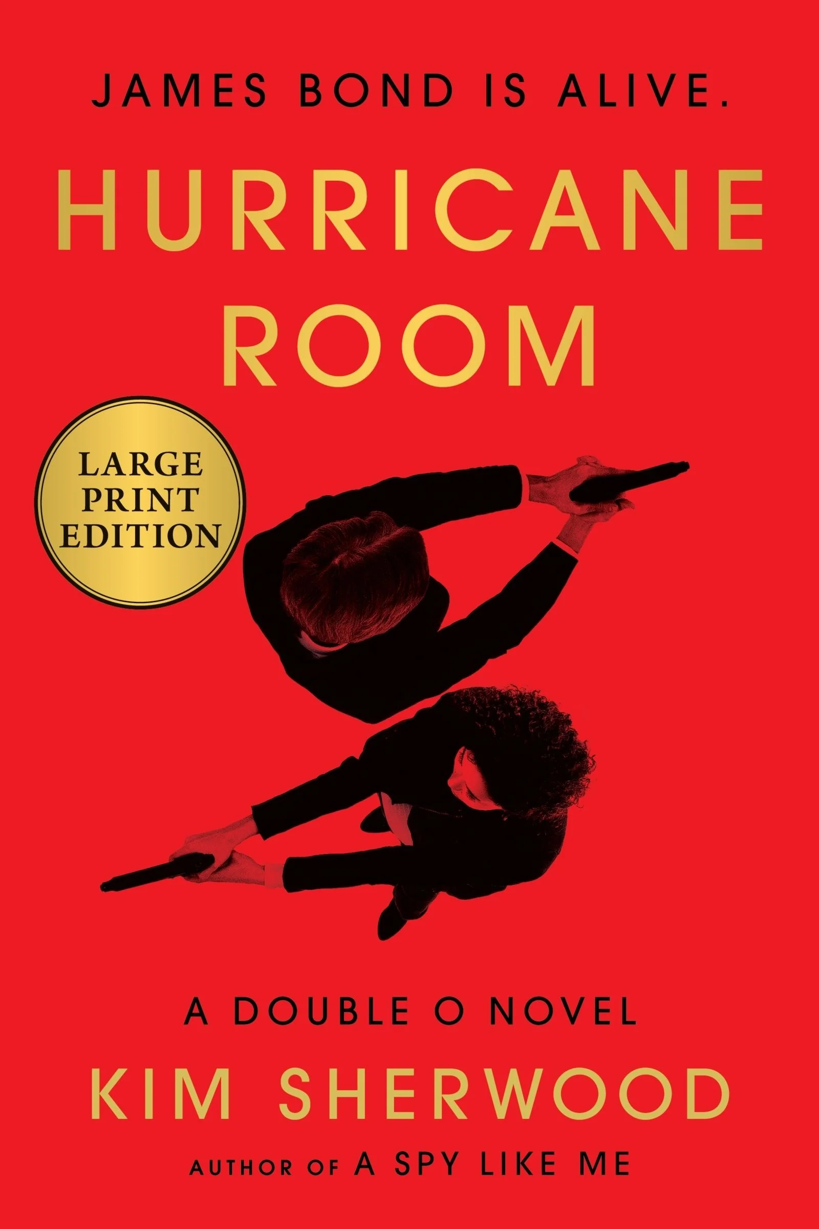 Hurricane Room - Image 2