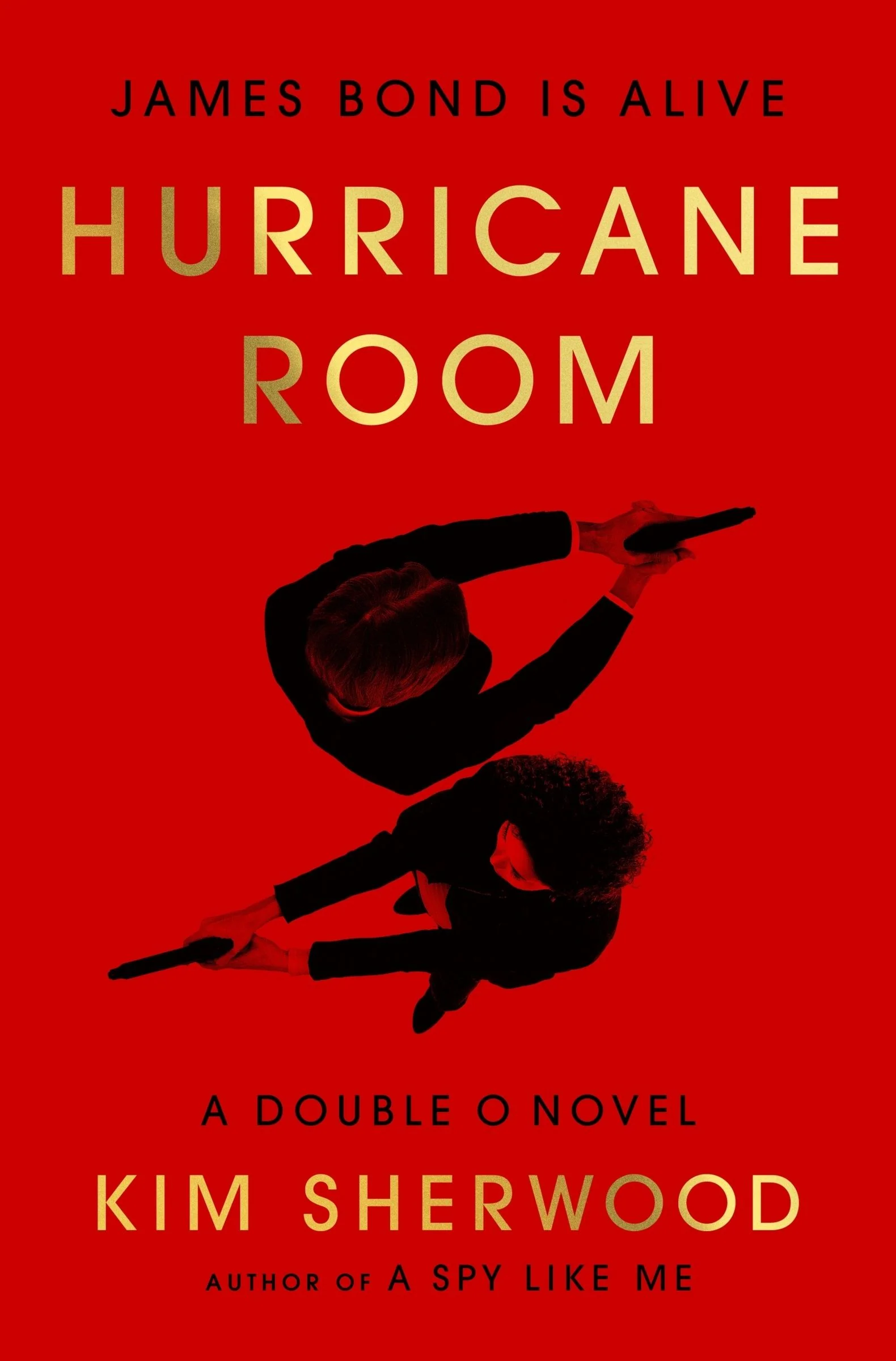 Hurricane Room - Image 3