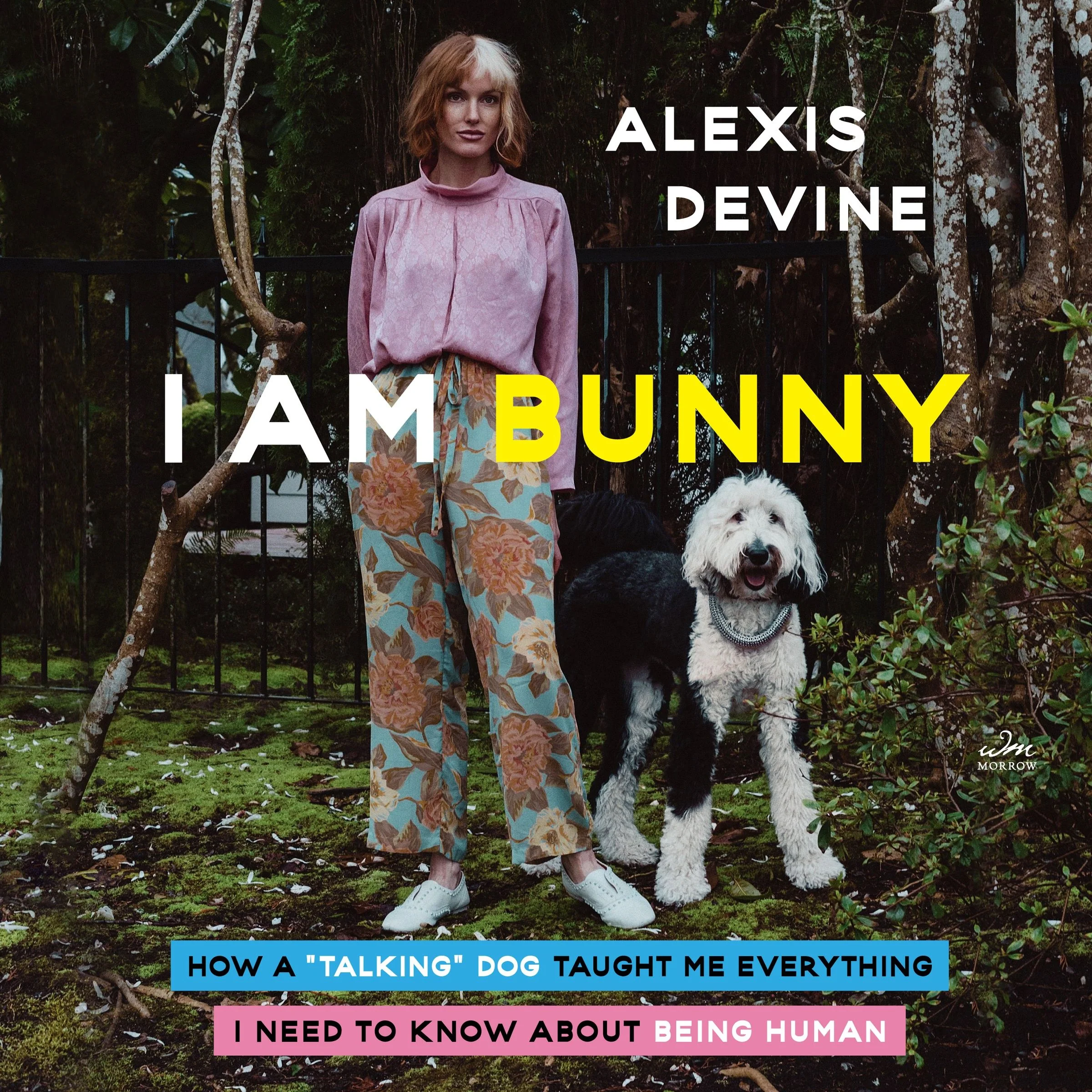 I Am Bunny - Image 4