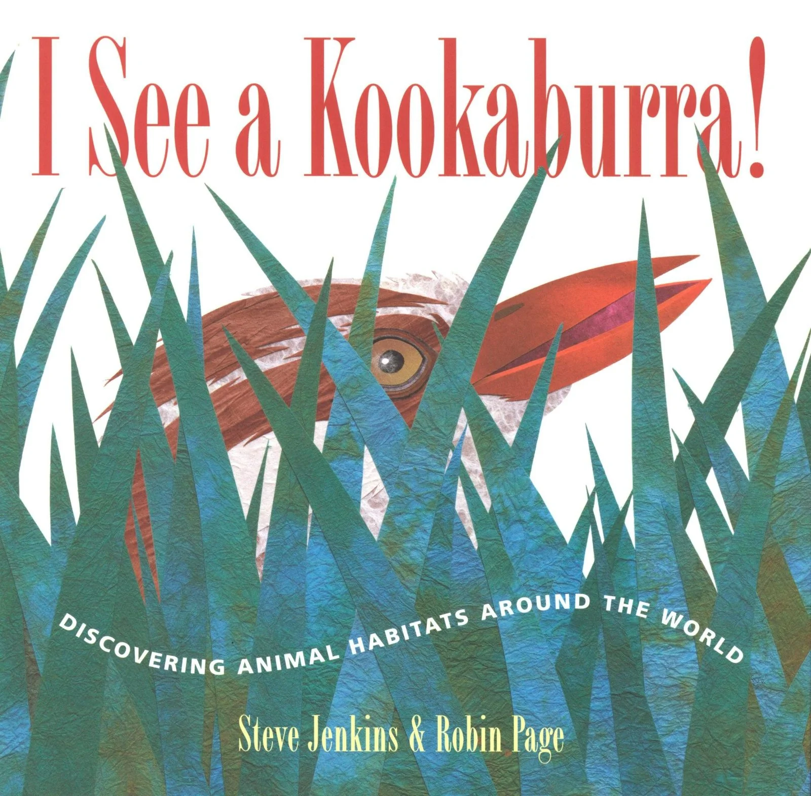 I See a Kookaburra! - Image 3