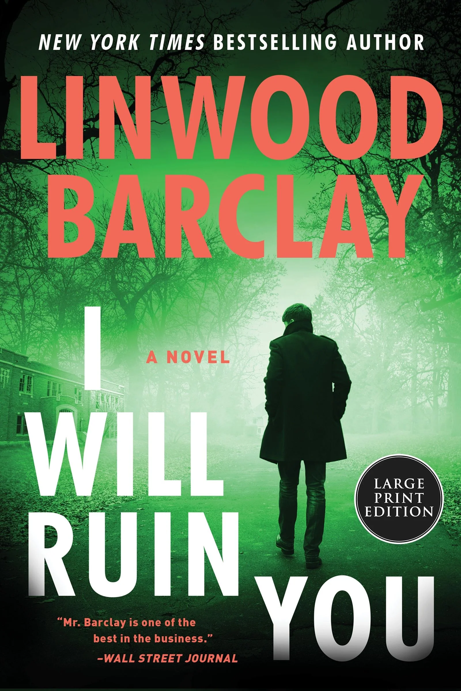 I Will Ruin You - Image 3