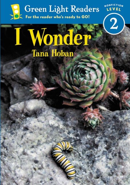 I Wonder - Image 2