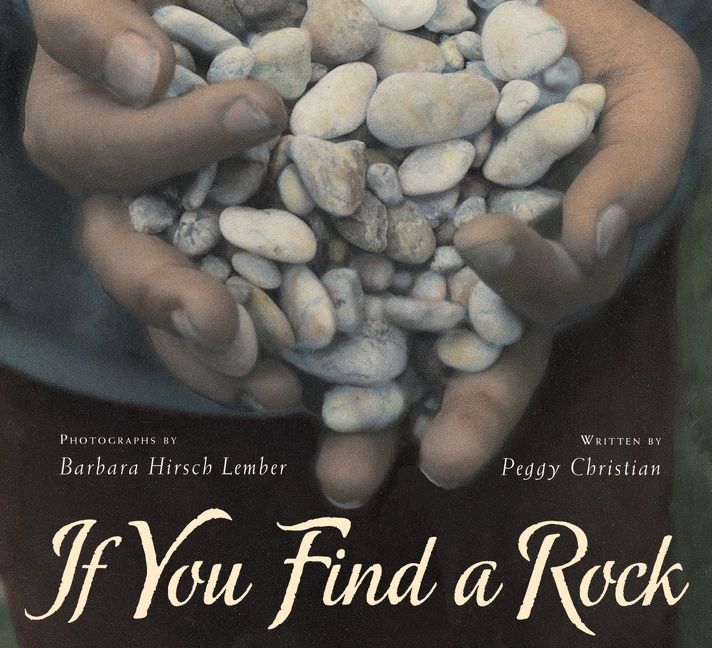 If You Find a Rock - Image 2