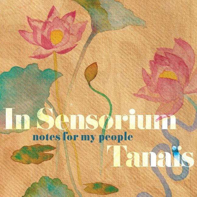 In Sensorium - Image 4