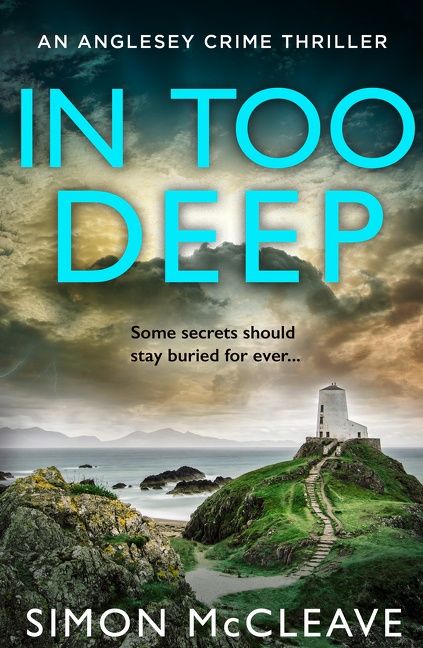 In Too Deep (The Anglesey Series, Book 2) - Image 3