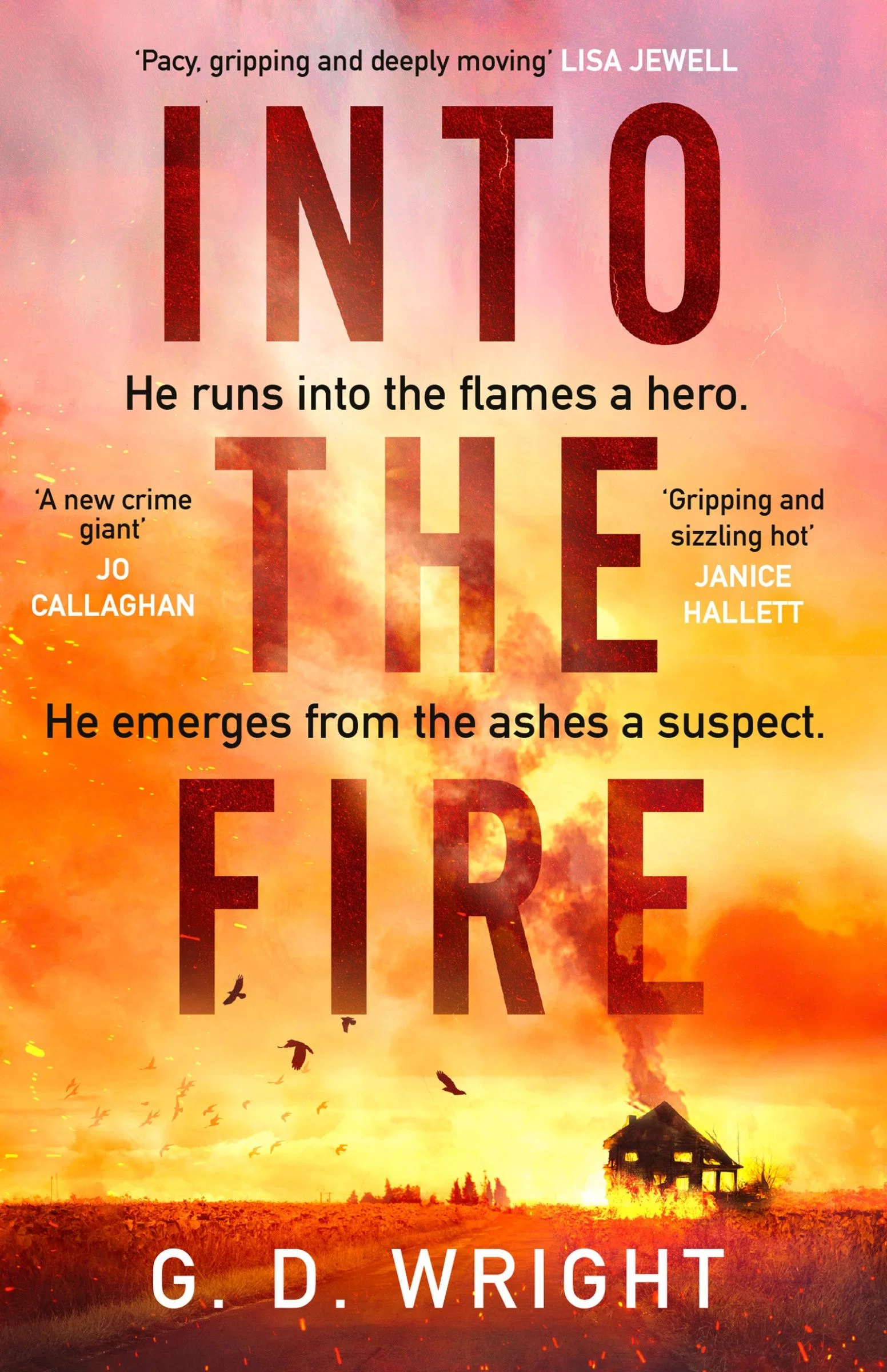 Into the Fire - Image 3