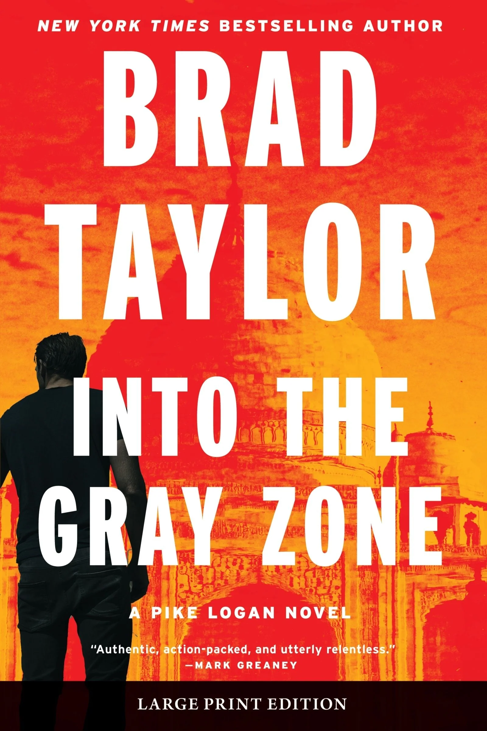Into the Gray Zone - Image 3