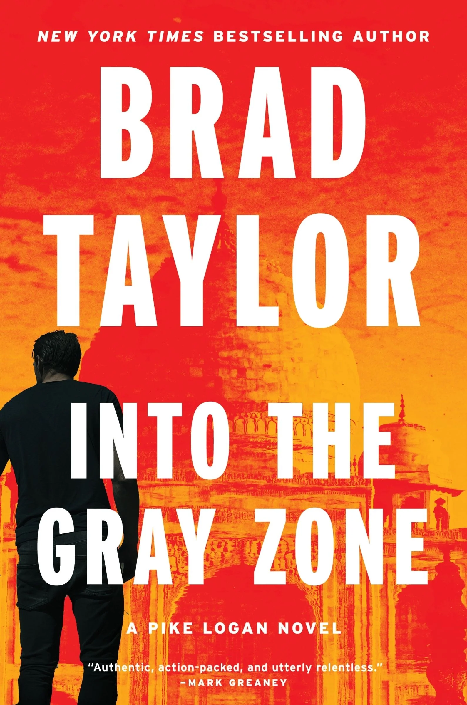 Into the Gray Zone - Image 4