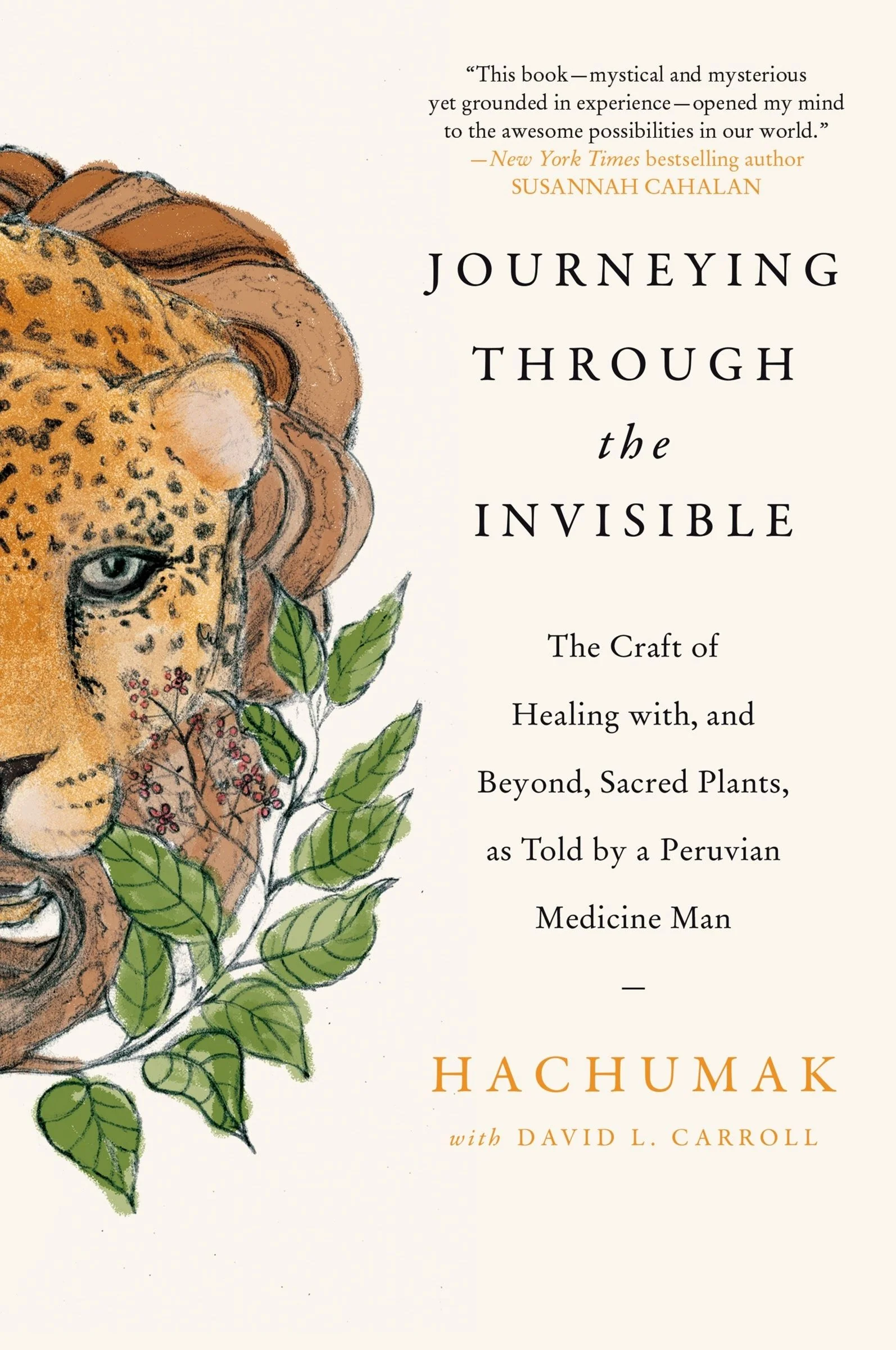 Journeying Through the Invisible - Image 3